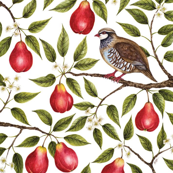partridge-in-a-pear-tree-cello-pk-5