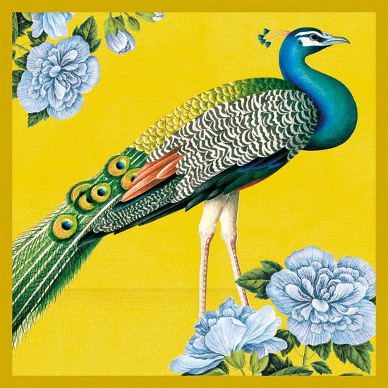 Exotic Animals 20 Pkt - Notecards