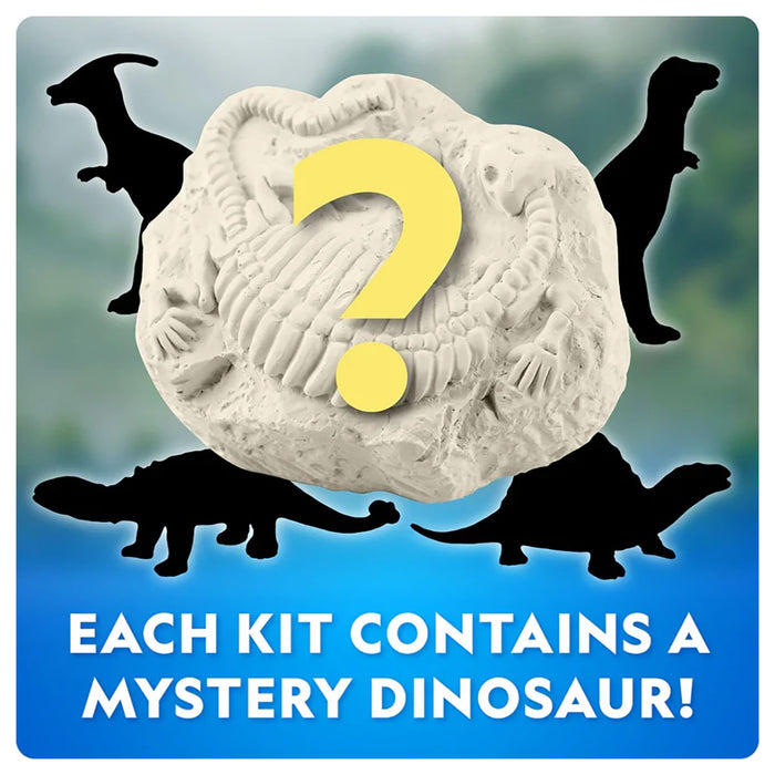 National Geographic Dinosaur Excavation Kit – Assorted