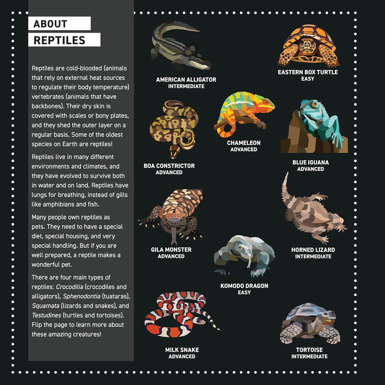 My Sticker Paintings: Reptiles (10 Awesome Animals)