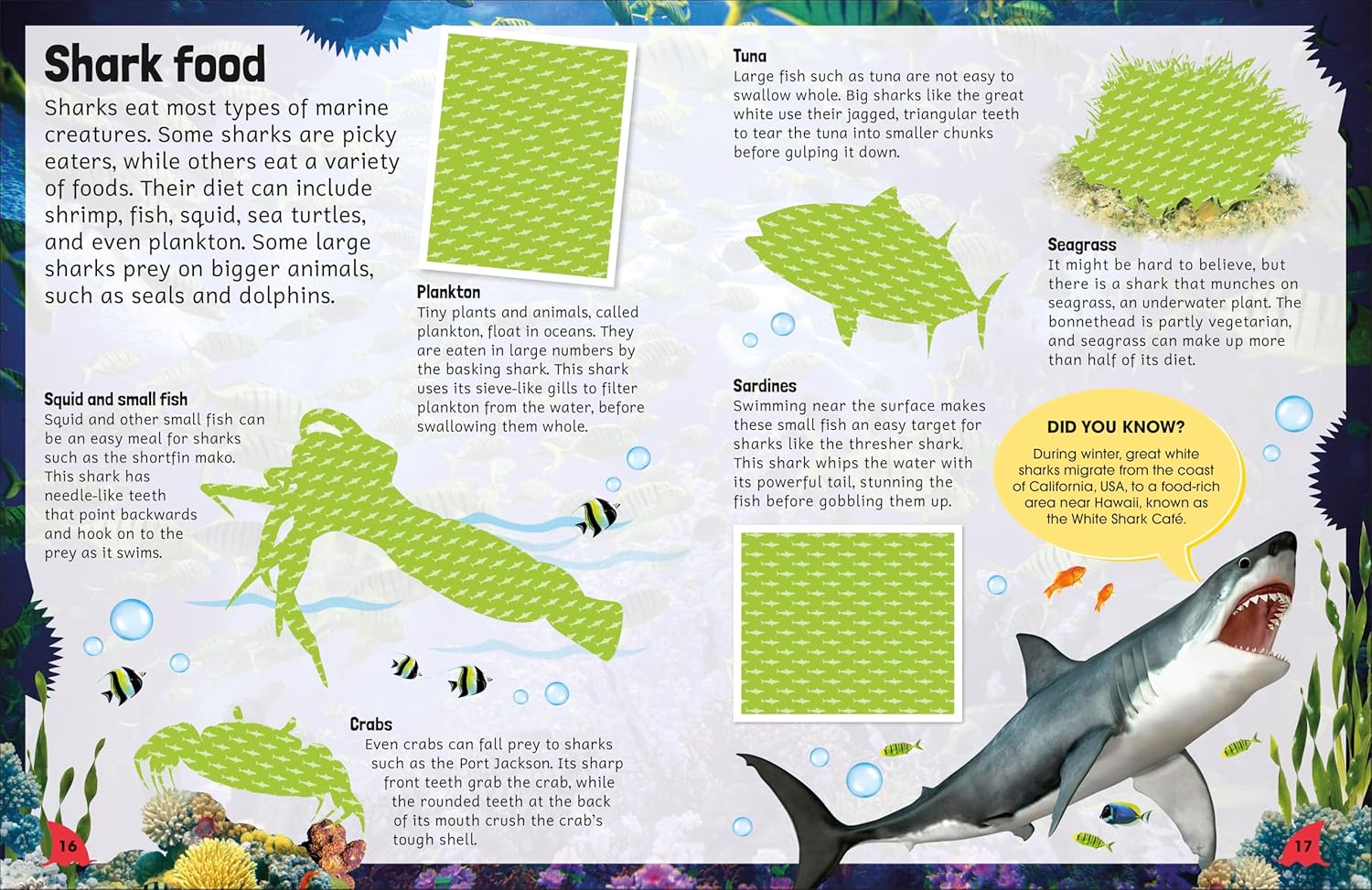 Sticker Encyclopedia Sharks | DK