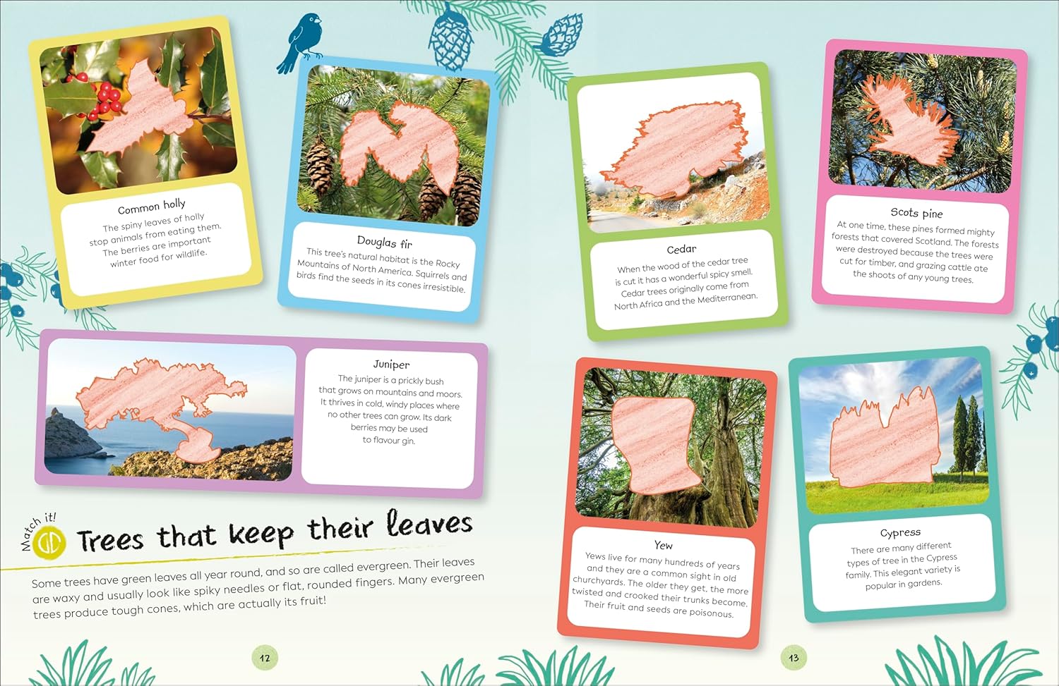 DK Ultimate Sticker Book: Trees and Leaves