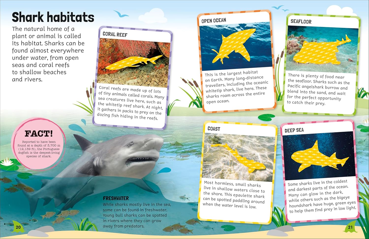 Sticker Encyclopedia Sharks | DK