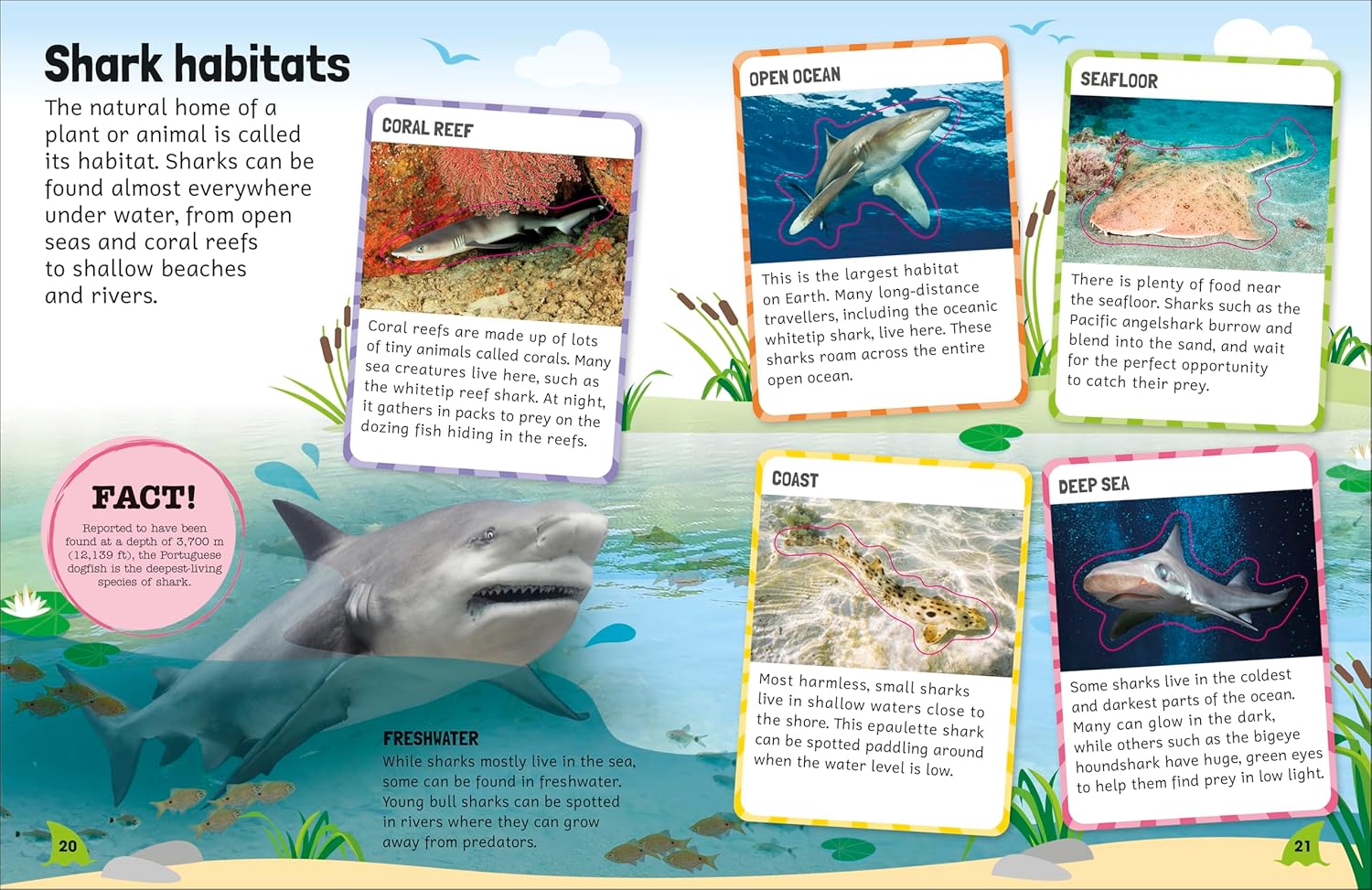 Sticker Encyclopedia Sharks | DK