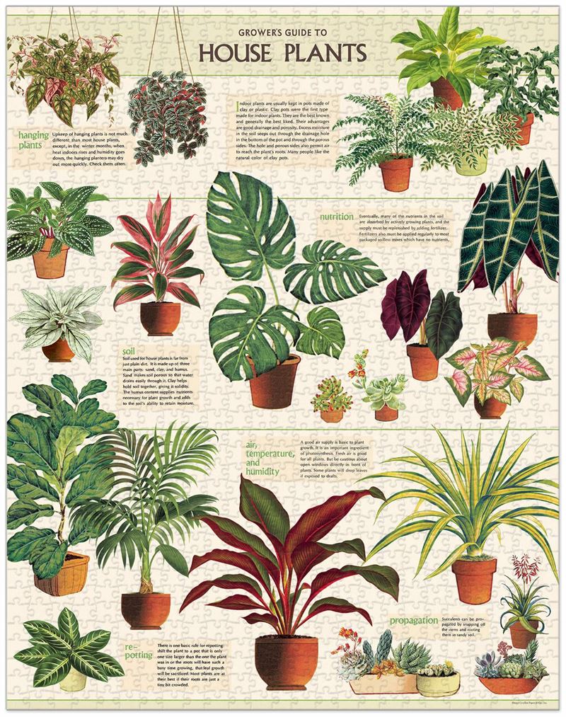 cavallini-co-house-plants-1000-pce-vintage-puzzle