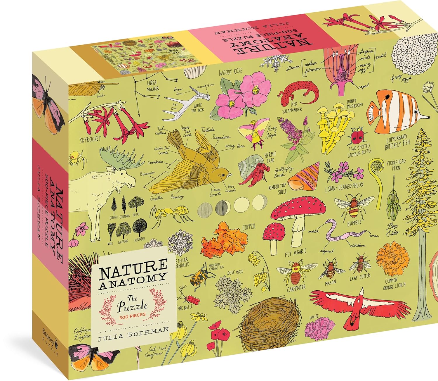 Nature Anatomy 500pc Jigsaw