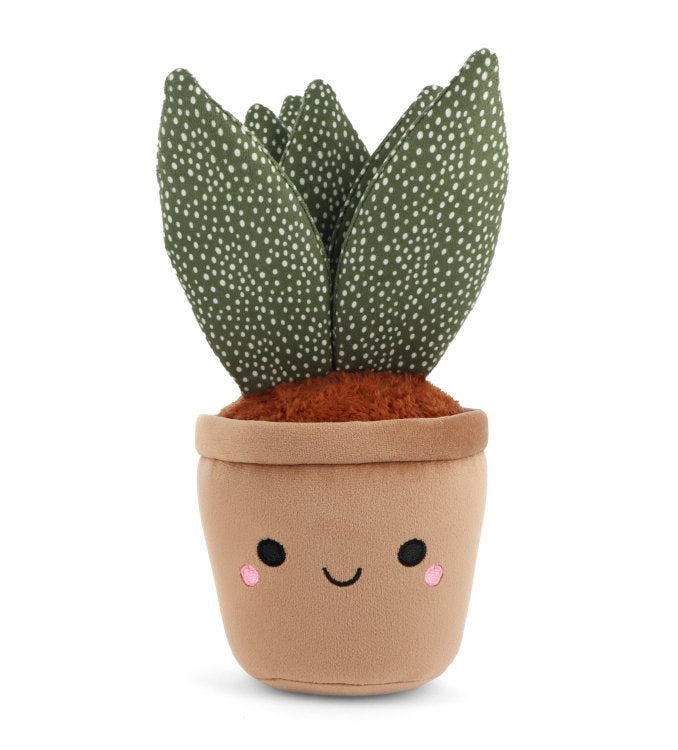 Keeleco Botanical Garden 25 cm Spotted Succulent soft toy plant