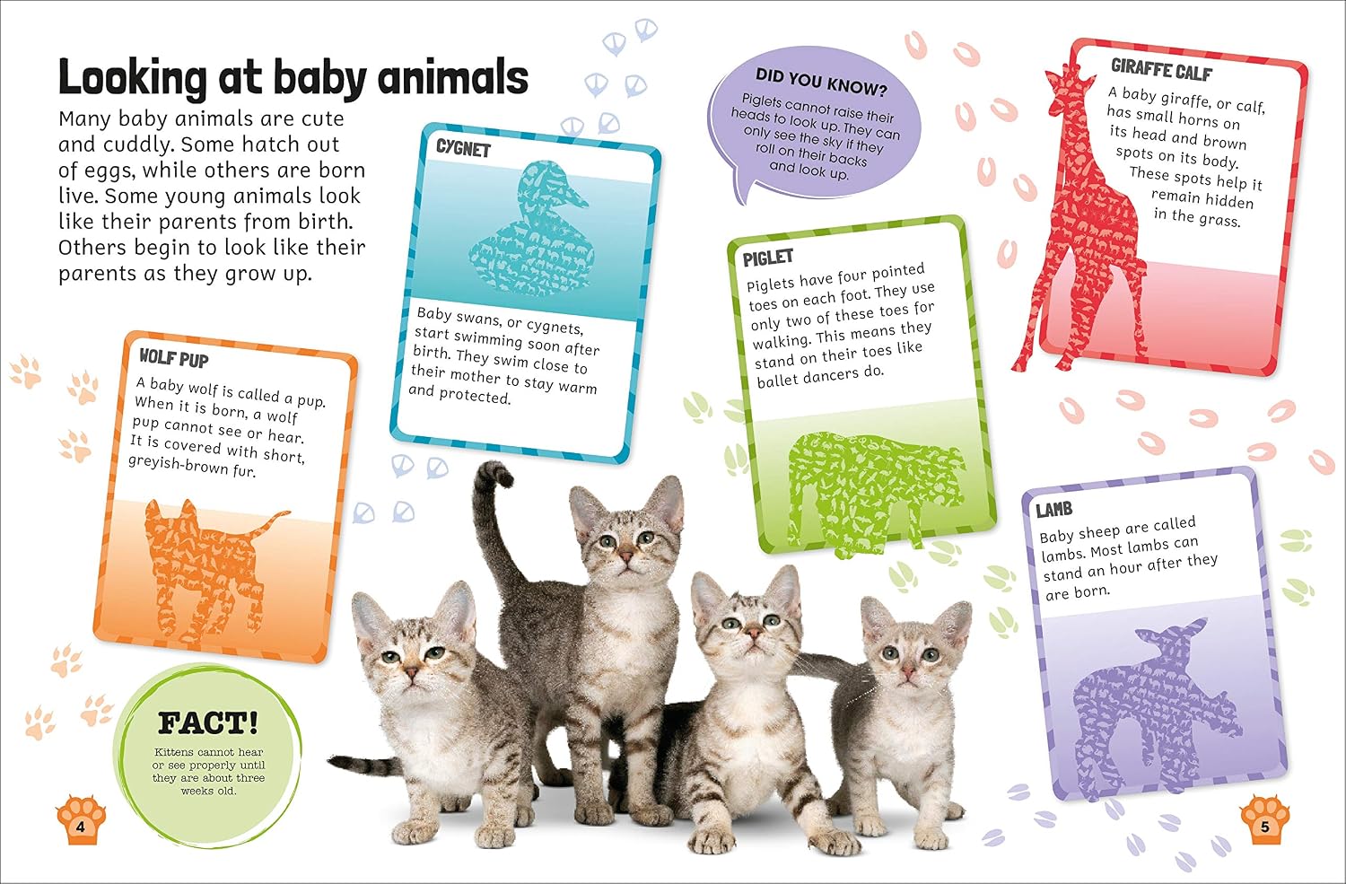 Sticker Encyclopedia: Baby Animals | DK