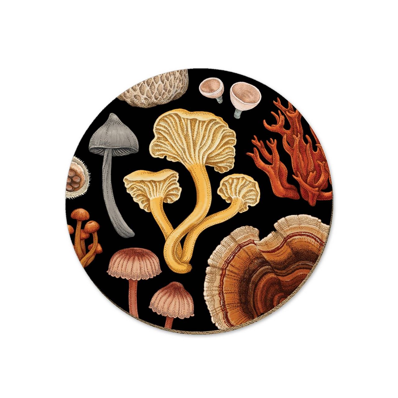 nz-fungi-bolete-coaster