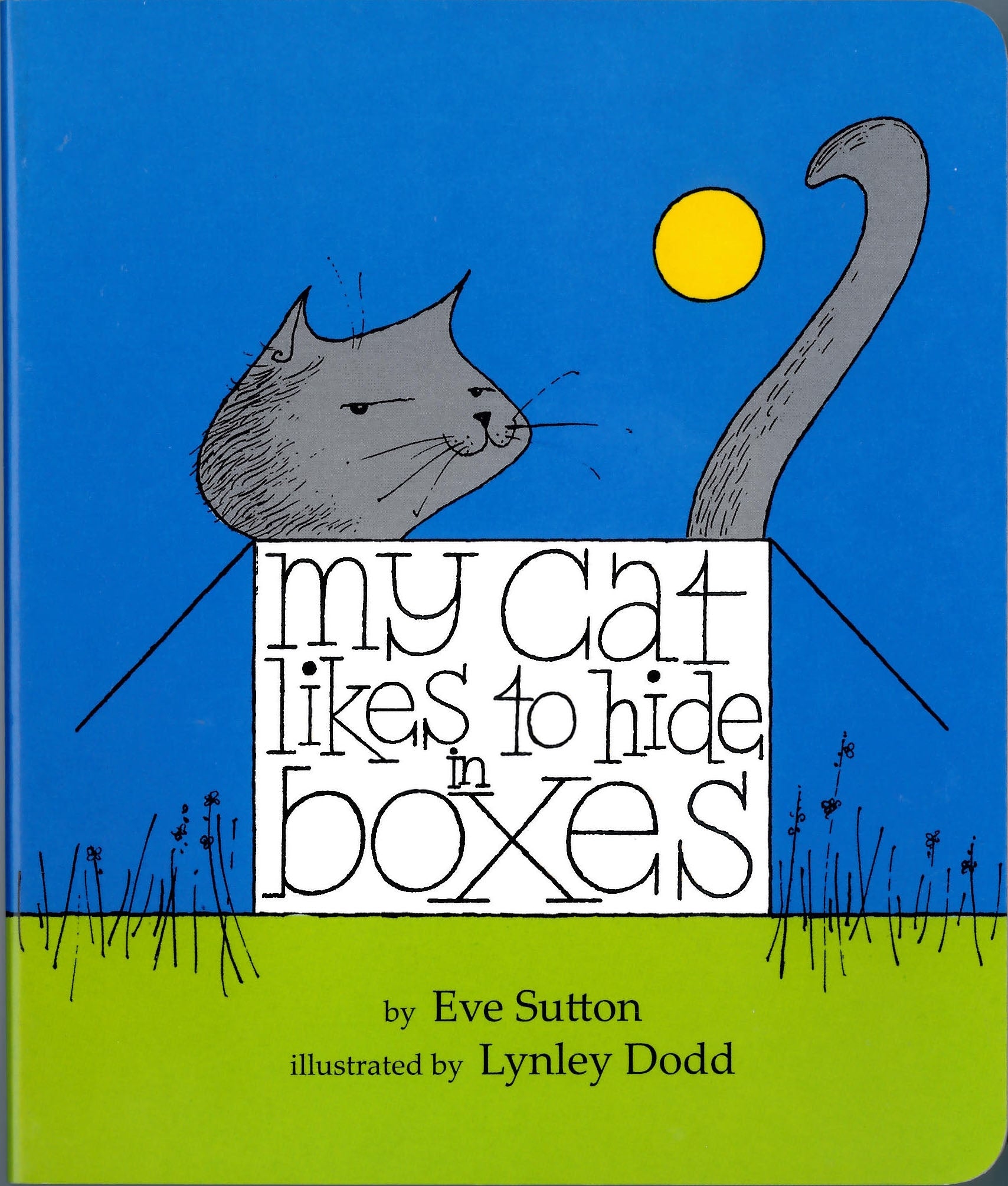 My Cat Likes to Hide in Box BB