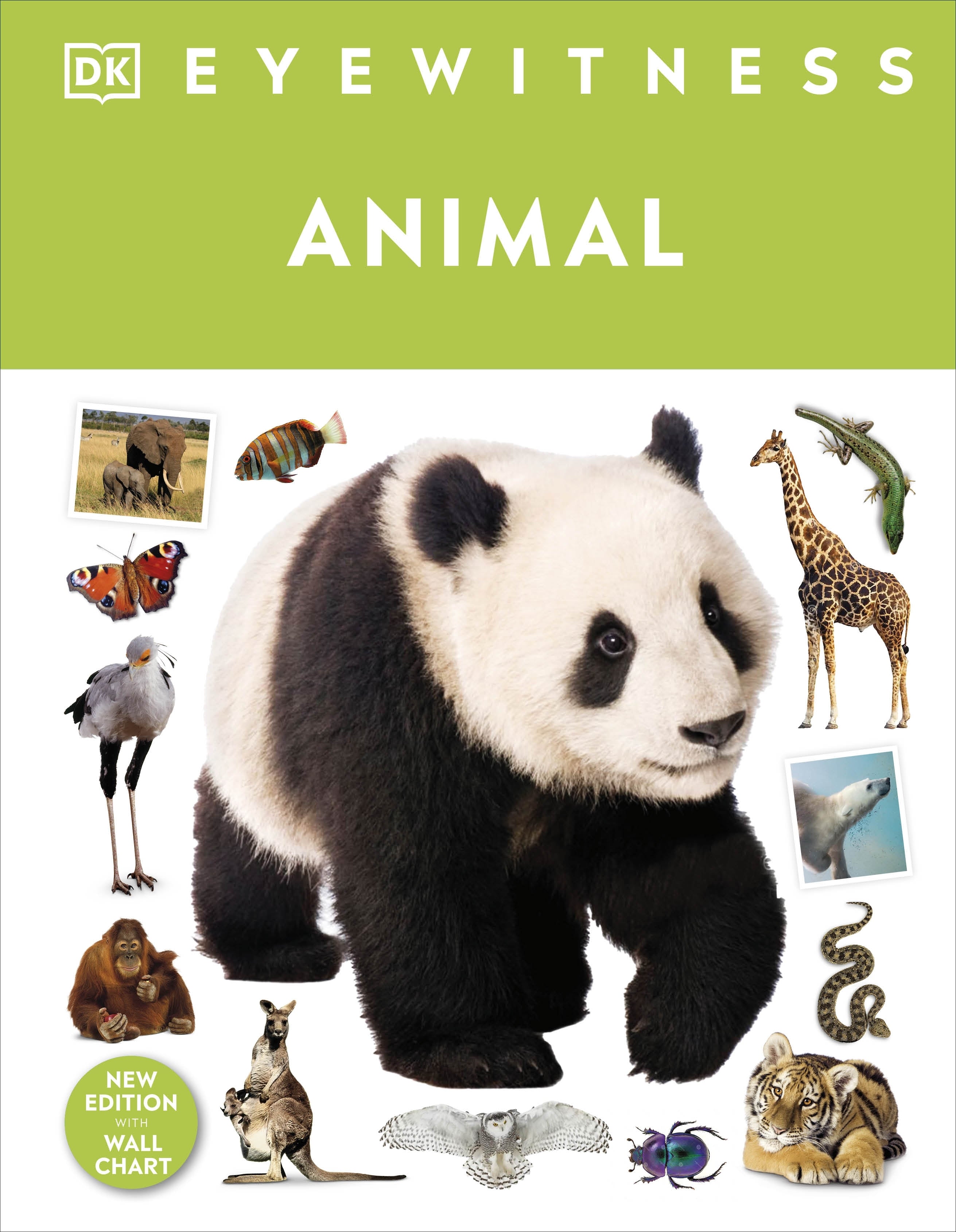 eyewitness-animal-dk