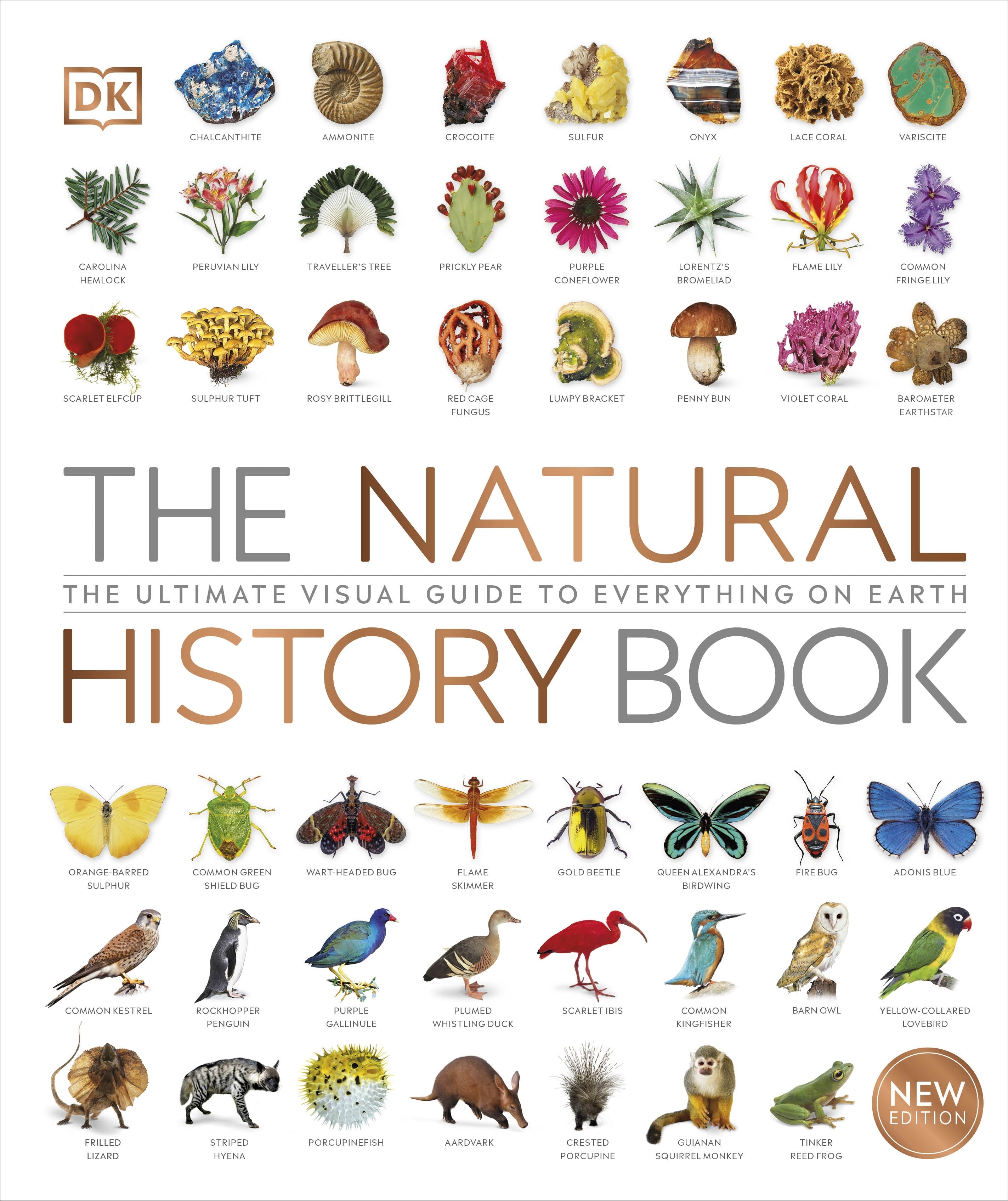 the-natural-history-book-dk