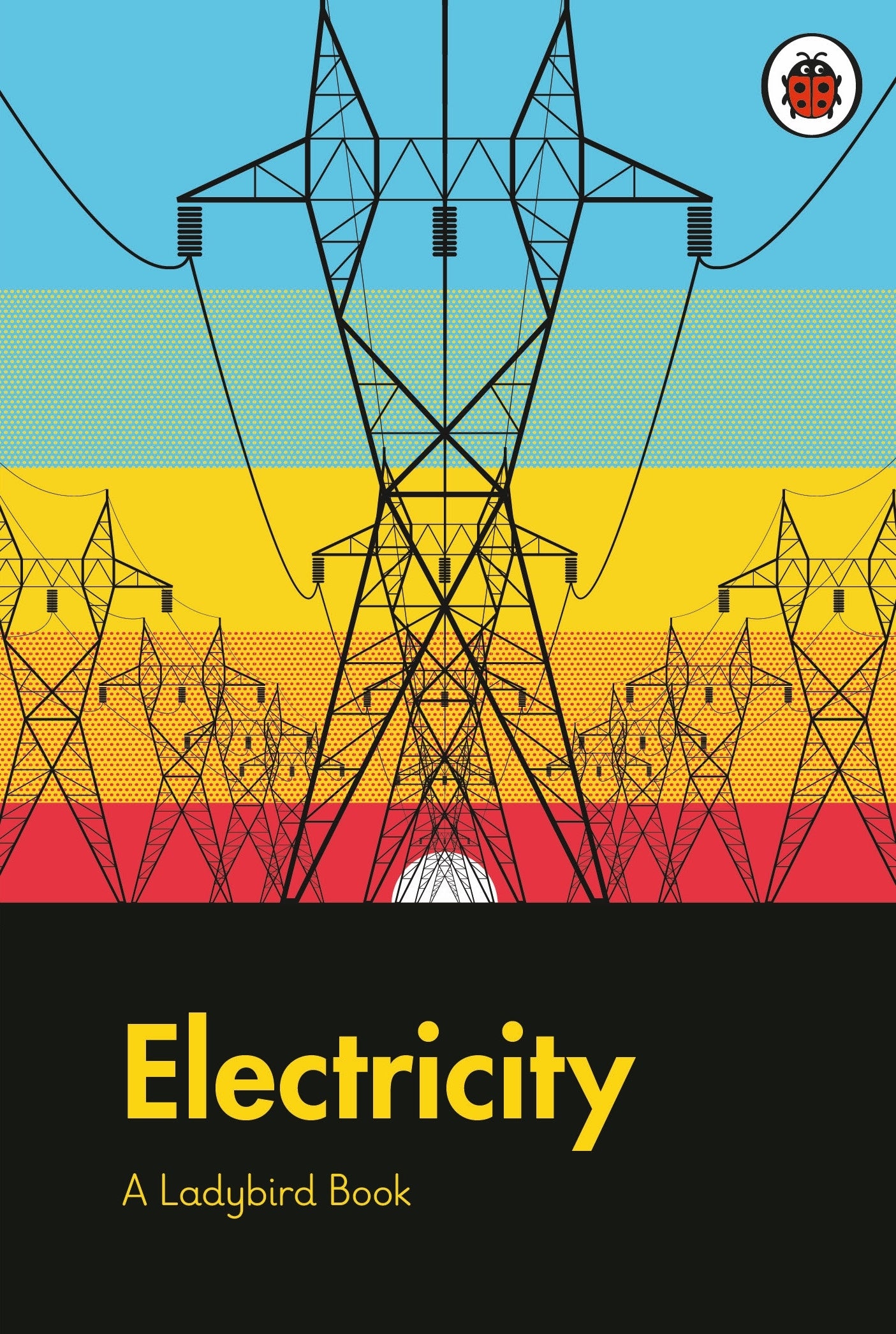Electricity: A Ladybird Book