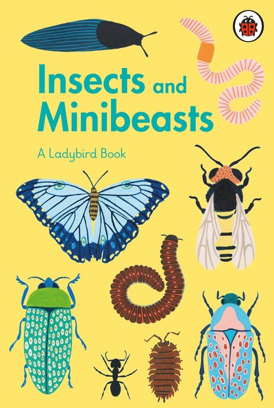 Insects and Minibeasts A Ladybrd Book