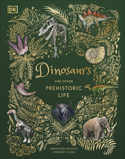 Dinosaurs and Other Prehistori