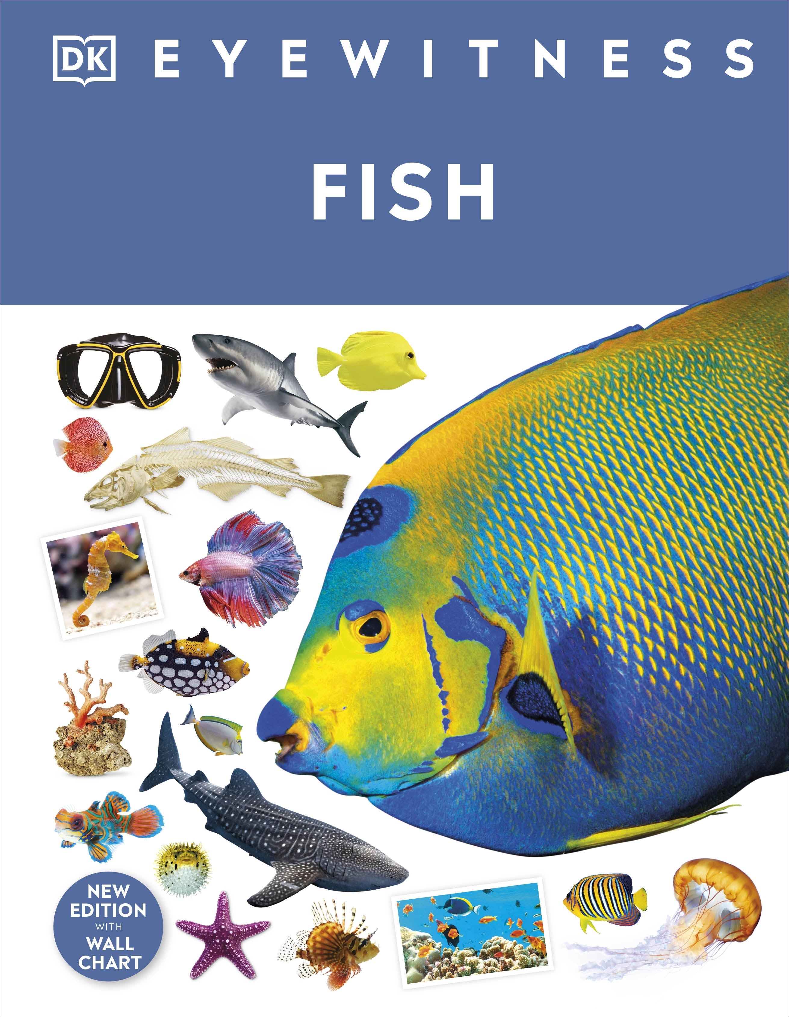 dk-eyewitness-fish