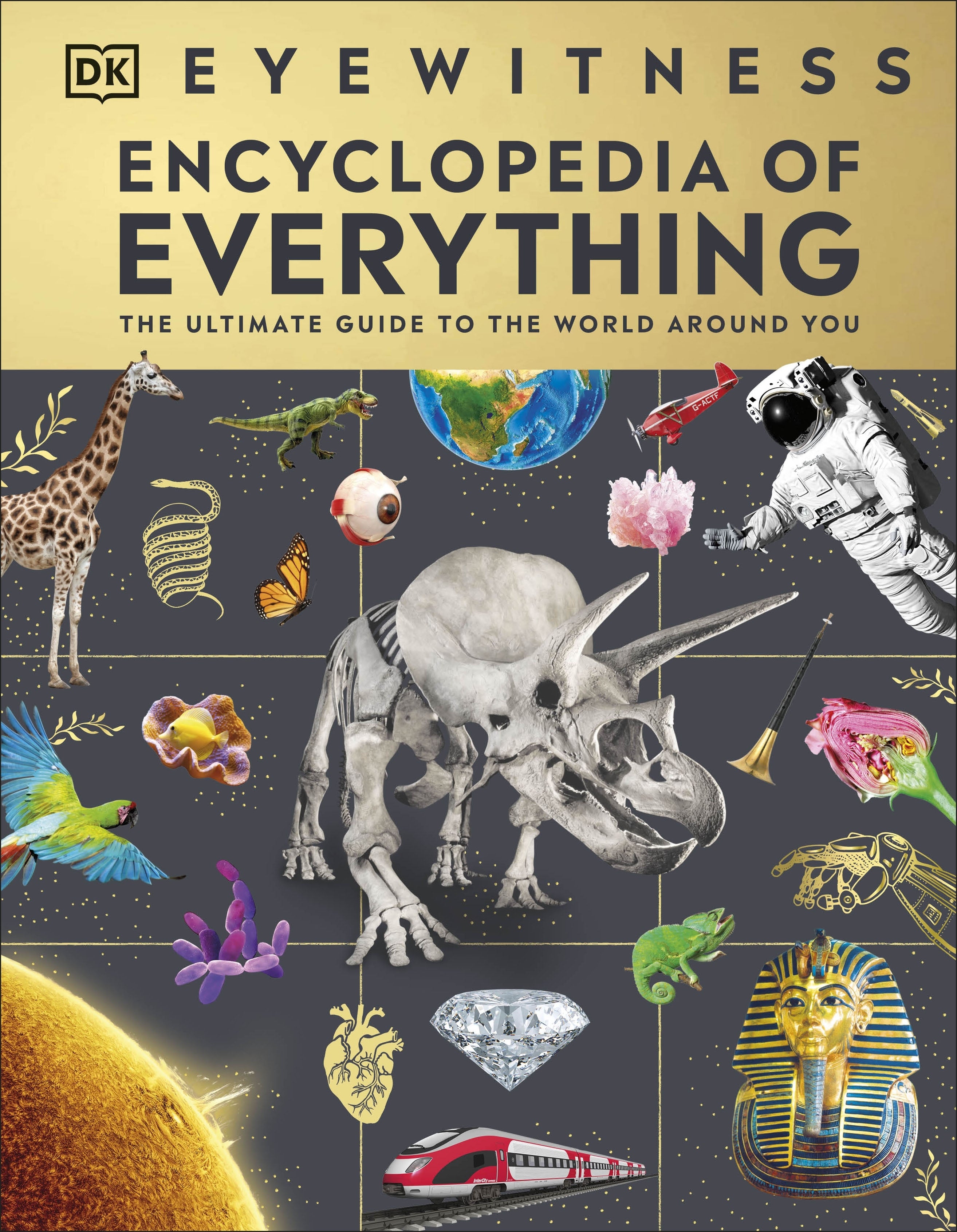 dk-eyewitness-encyclopedia-of-everything
