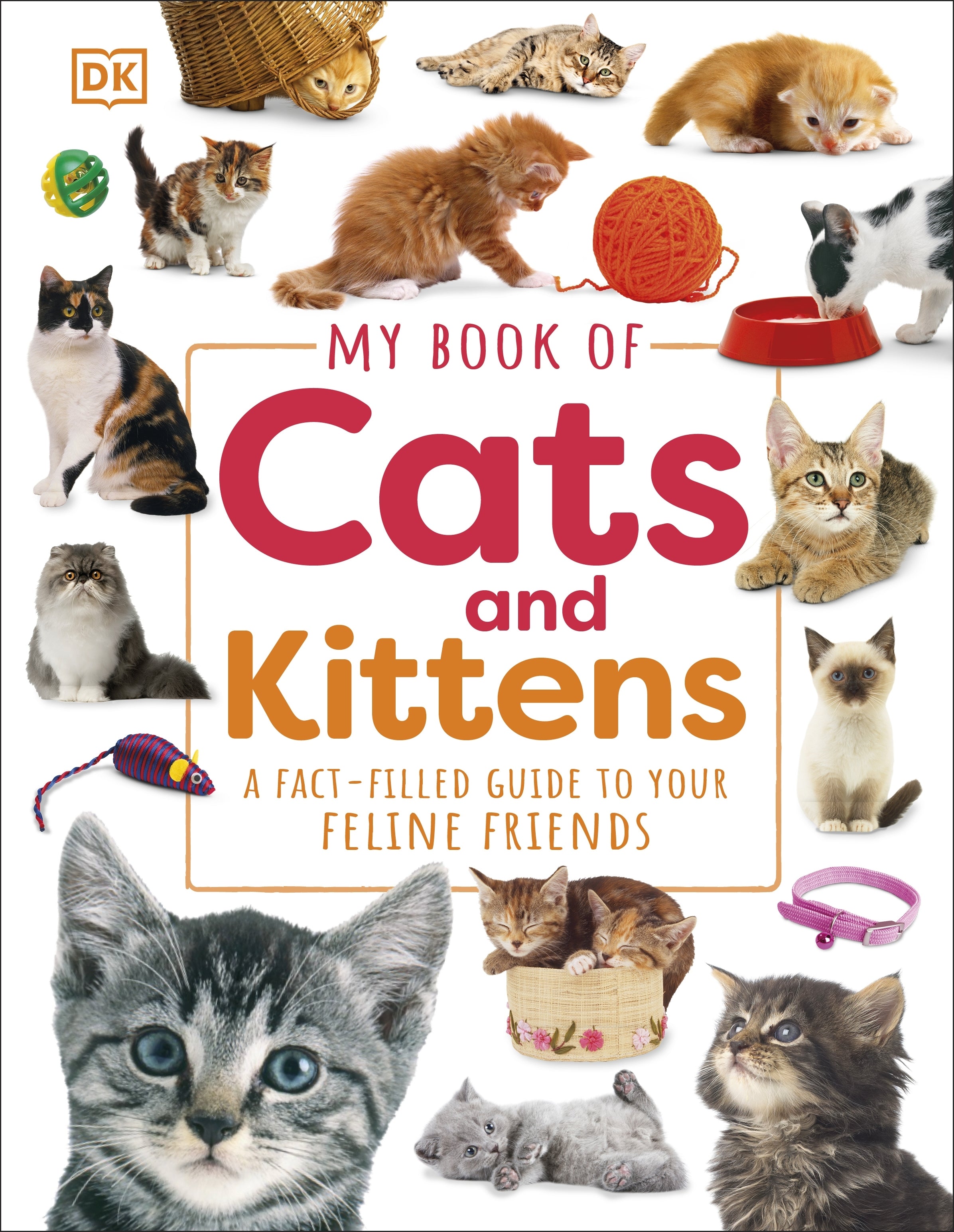 my-book-of-cats-and-kittens-dk
