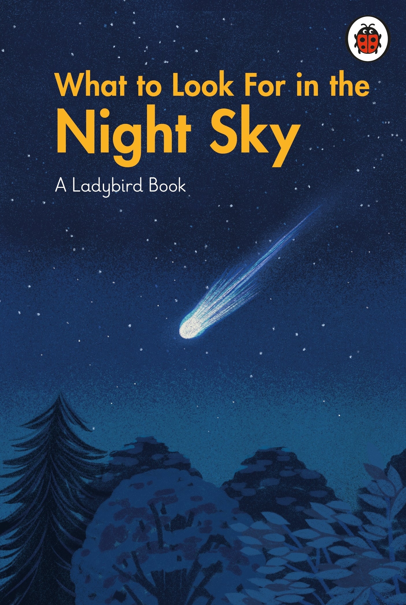 what-to-look-for-in-the-night-sky-a-ladybird-book
