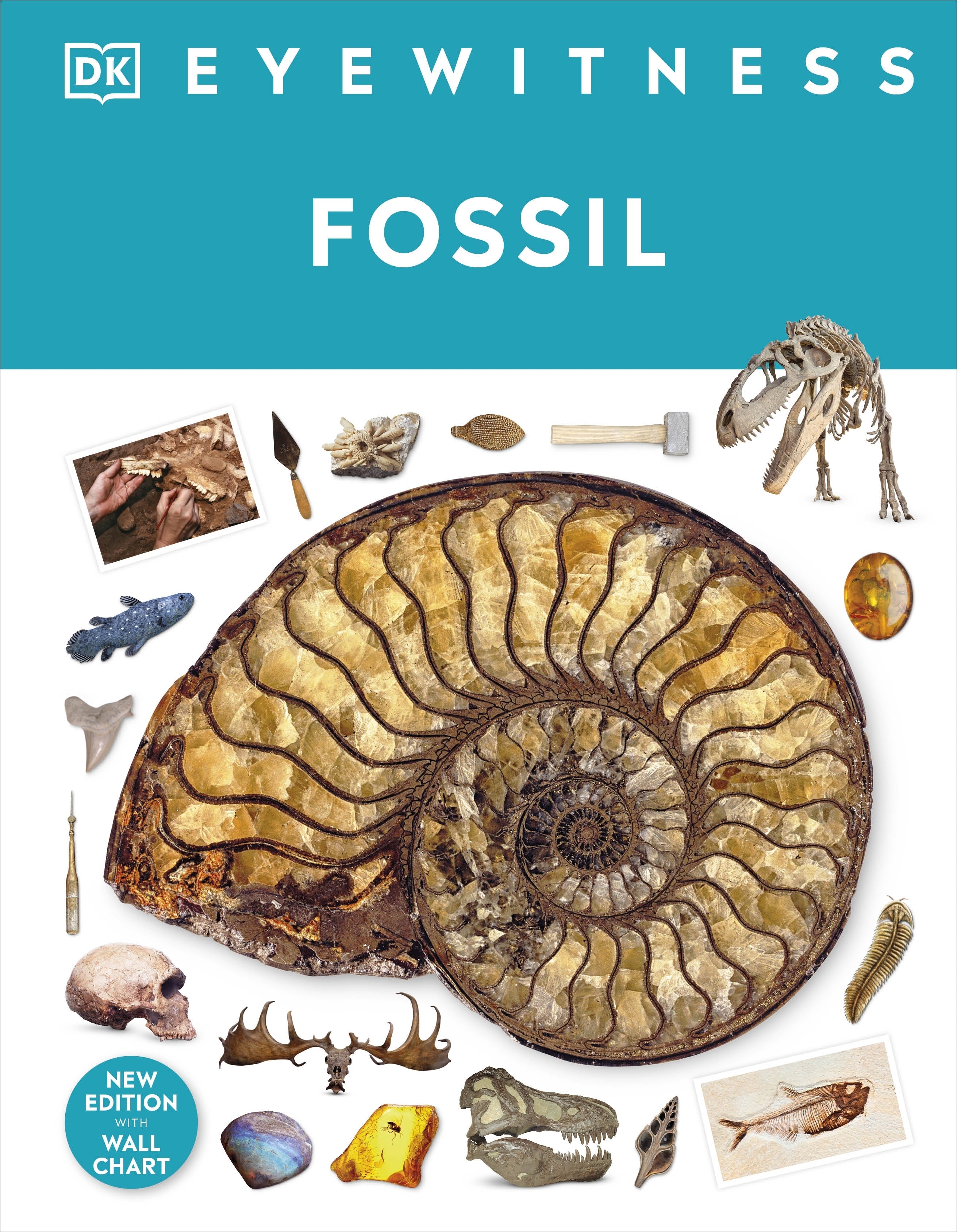 dk-eyewitness-fossil