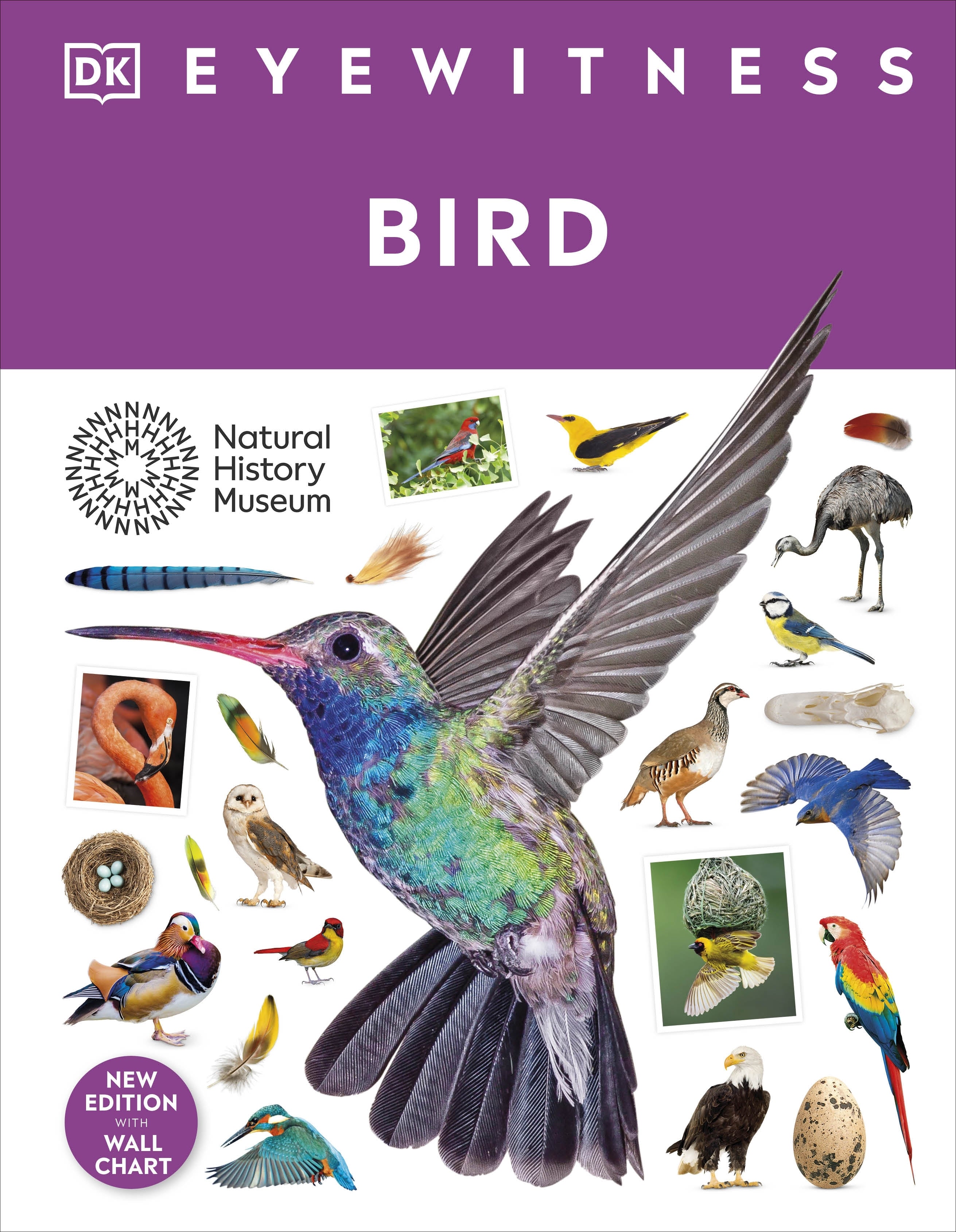 dk-eyewitness-bird