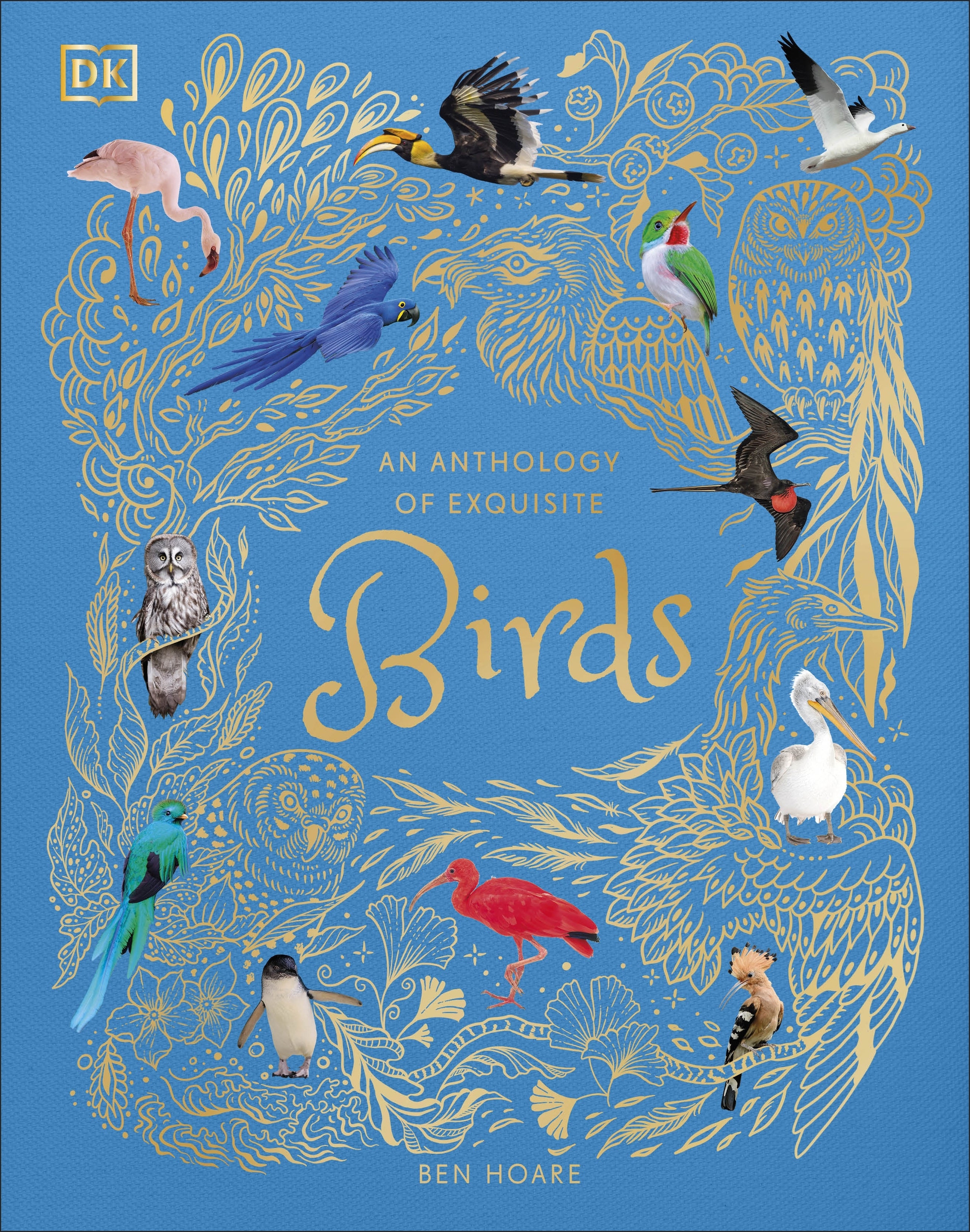anothology-of-exquisite-birds-dk