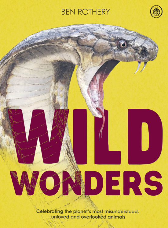 Wild Wonders