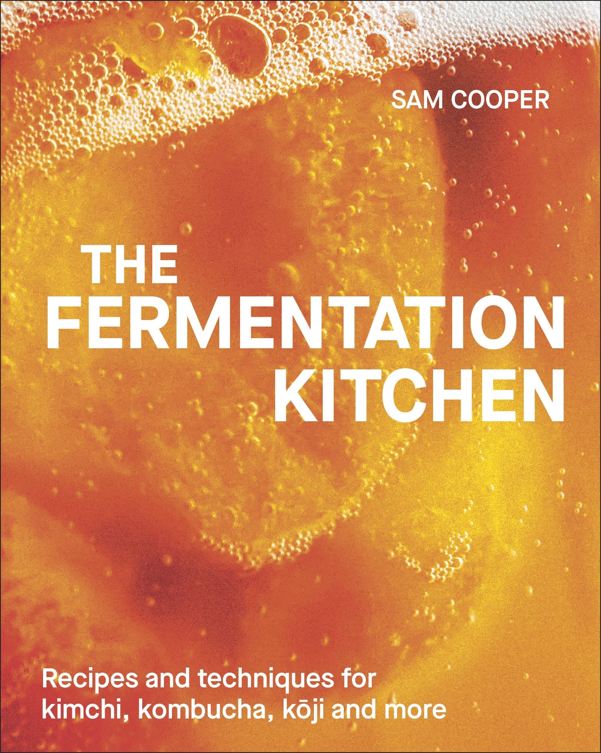 the-fermentation-kitchen