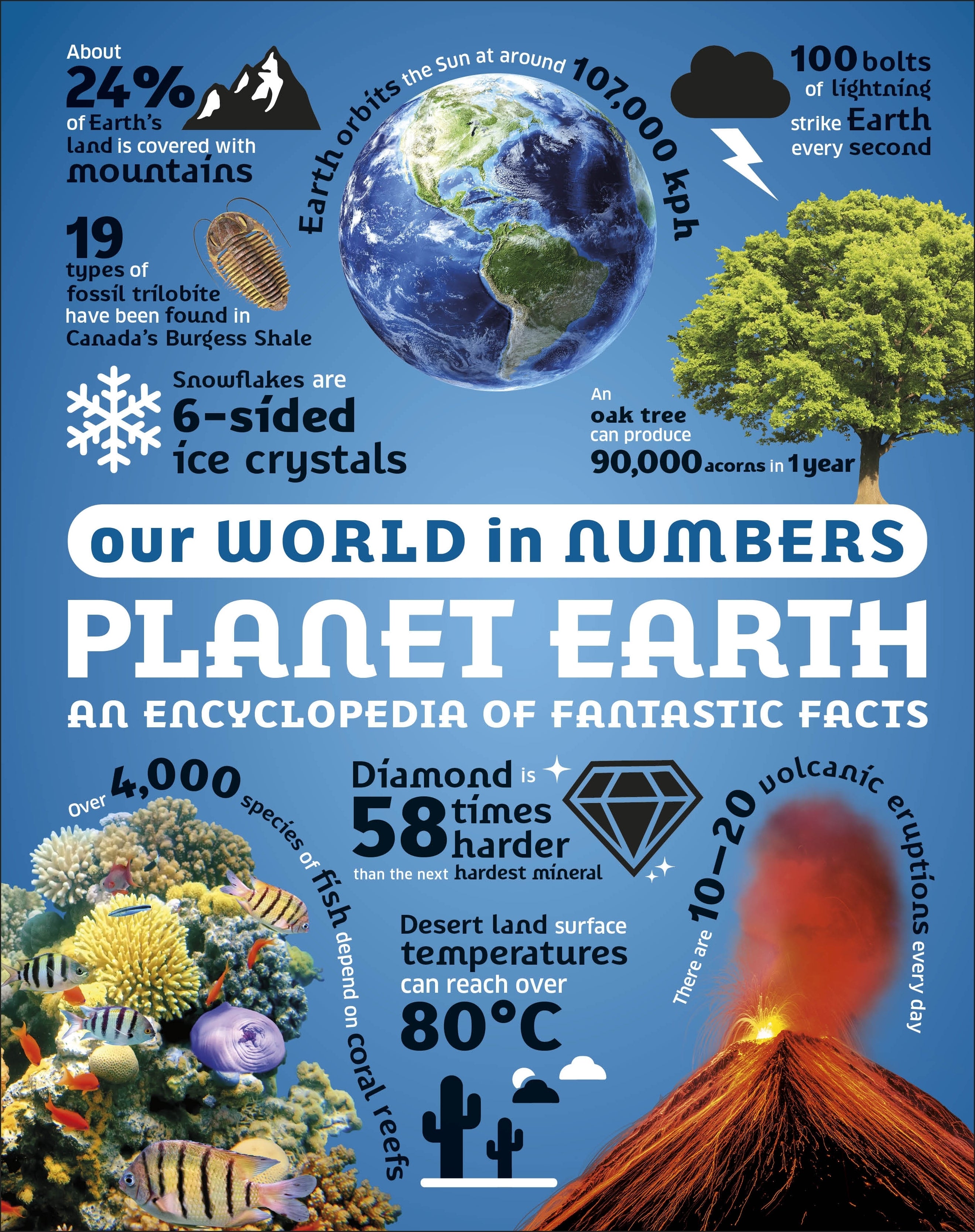 our-world-in-numbers-planet-earth-dk