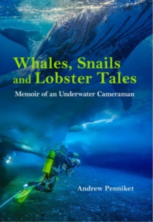 Whales Snails and Lobster Tale