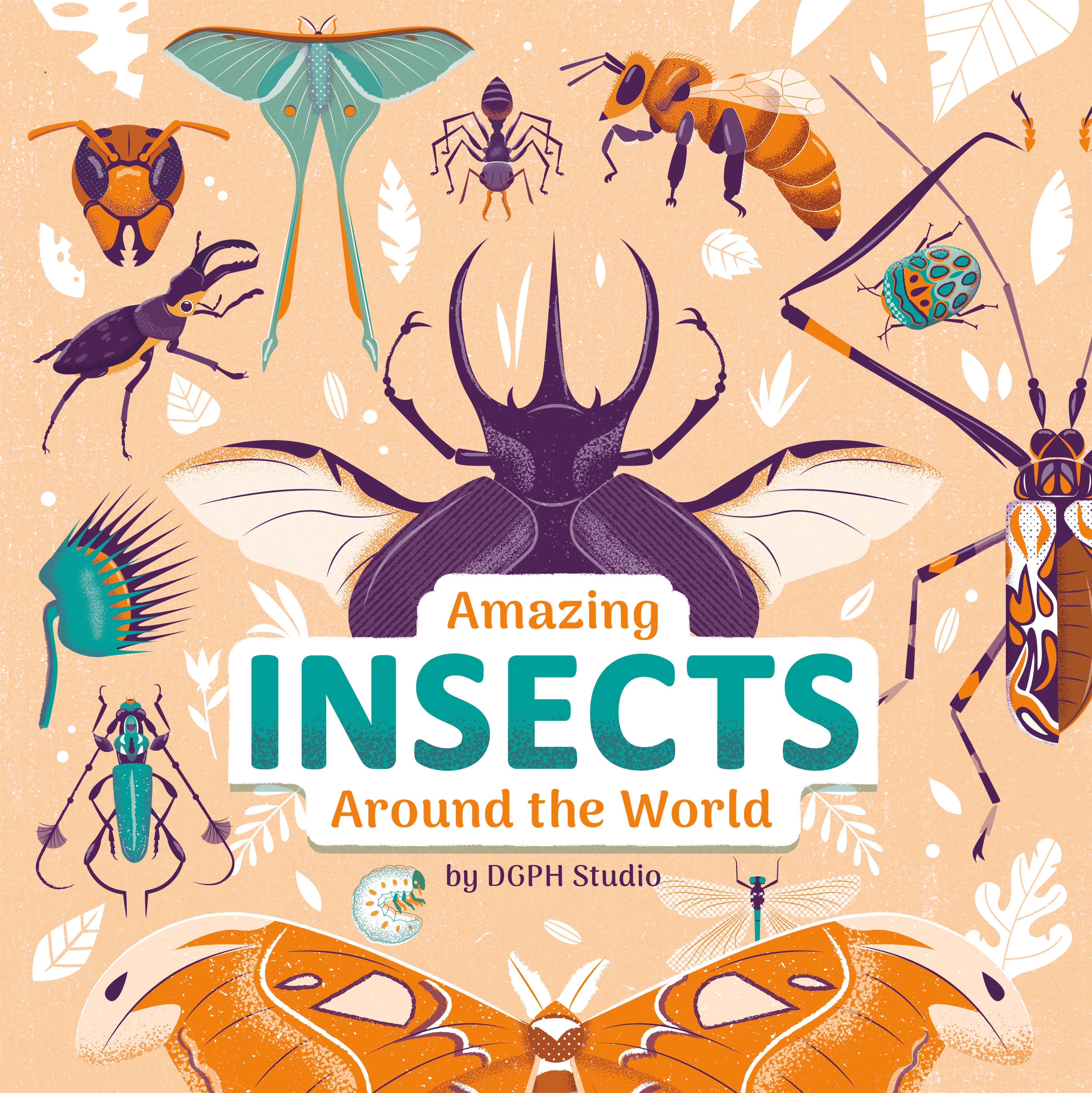 amazing-insects-around-the-world