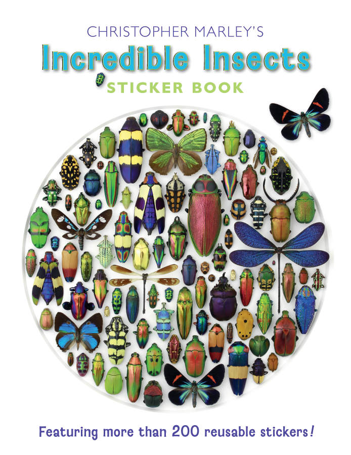 incredible-insects-sticker-book