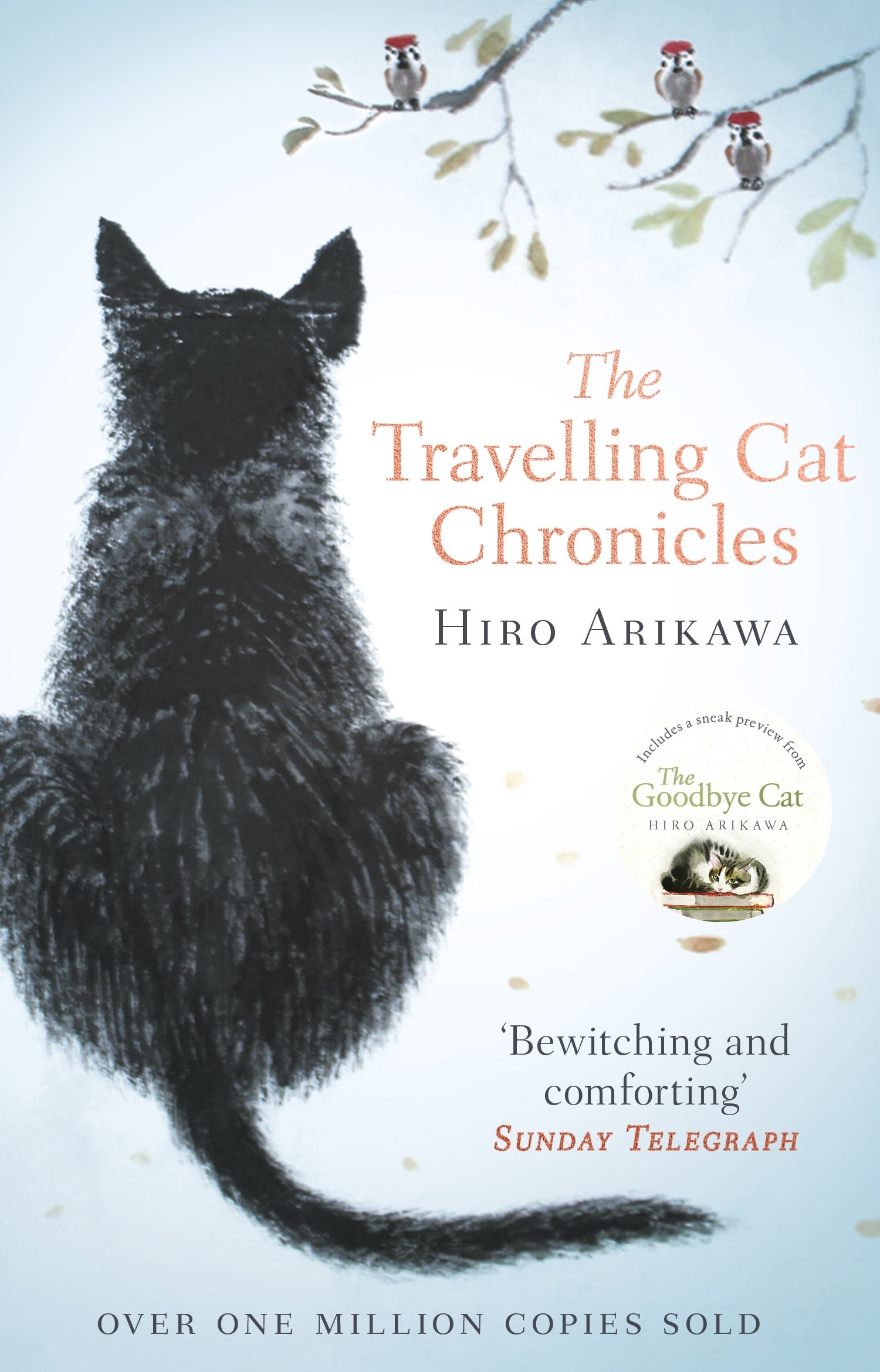 the-travelling-cat-chronicles
