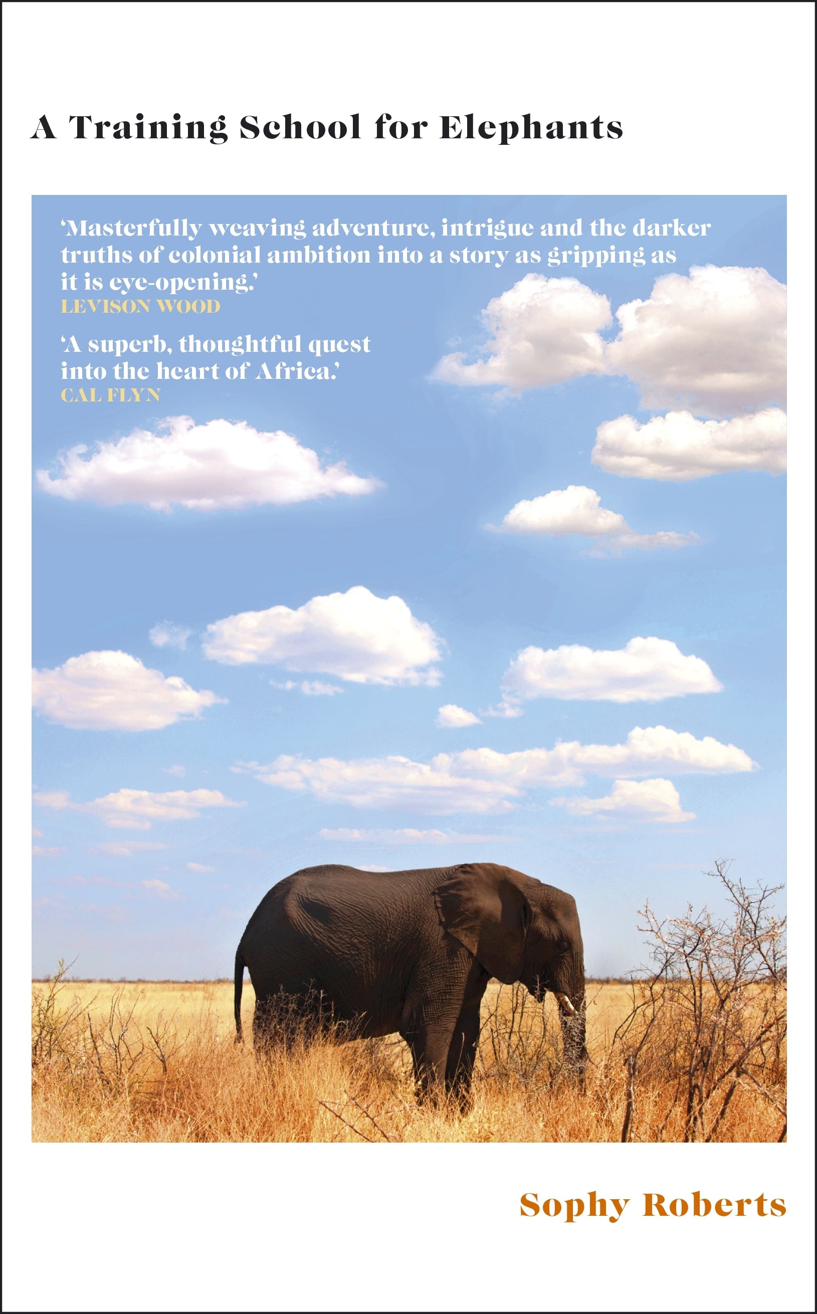 a-training-school-for-elephants