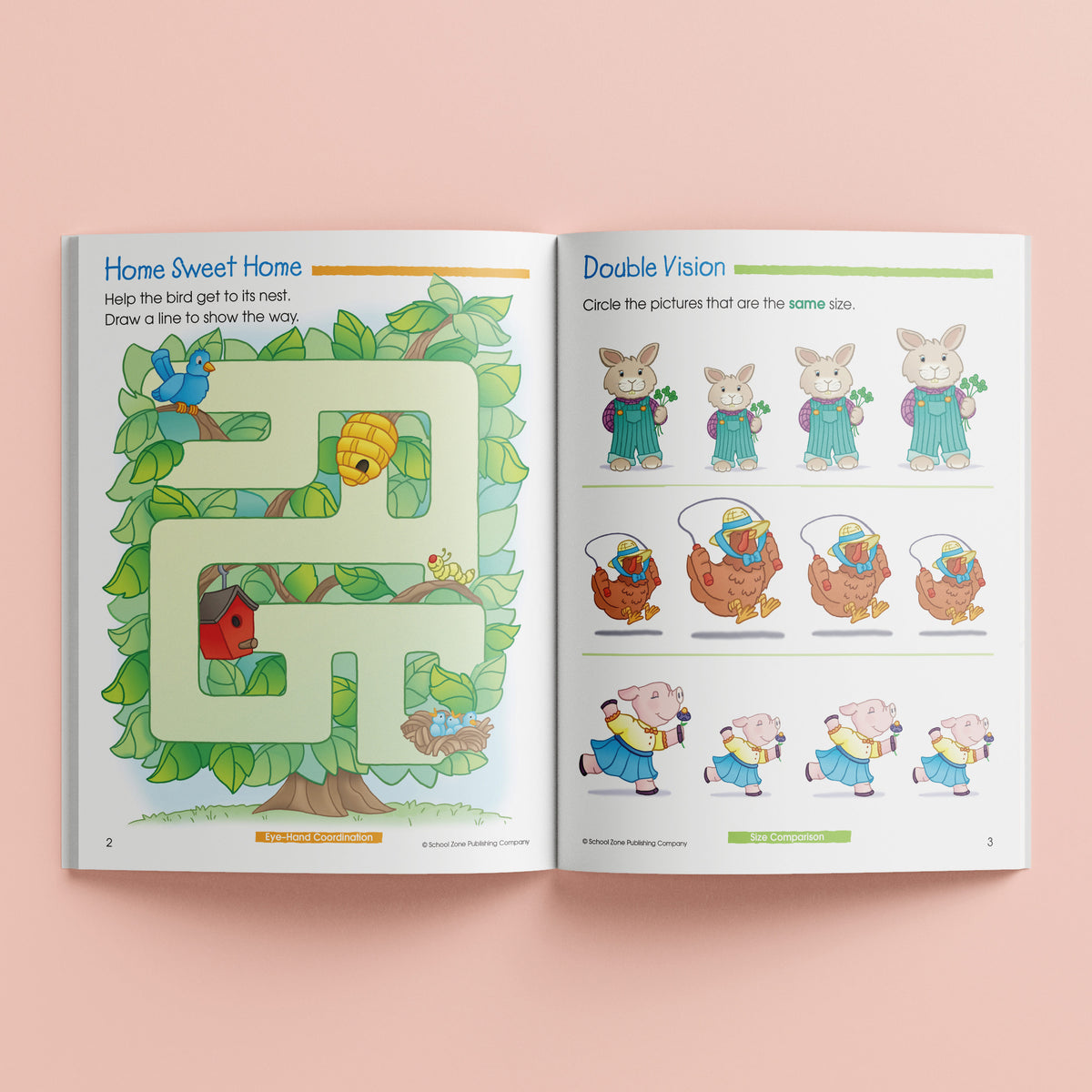 School Zone Preschool Basics Workbook