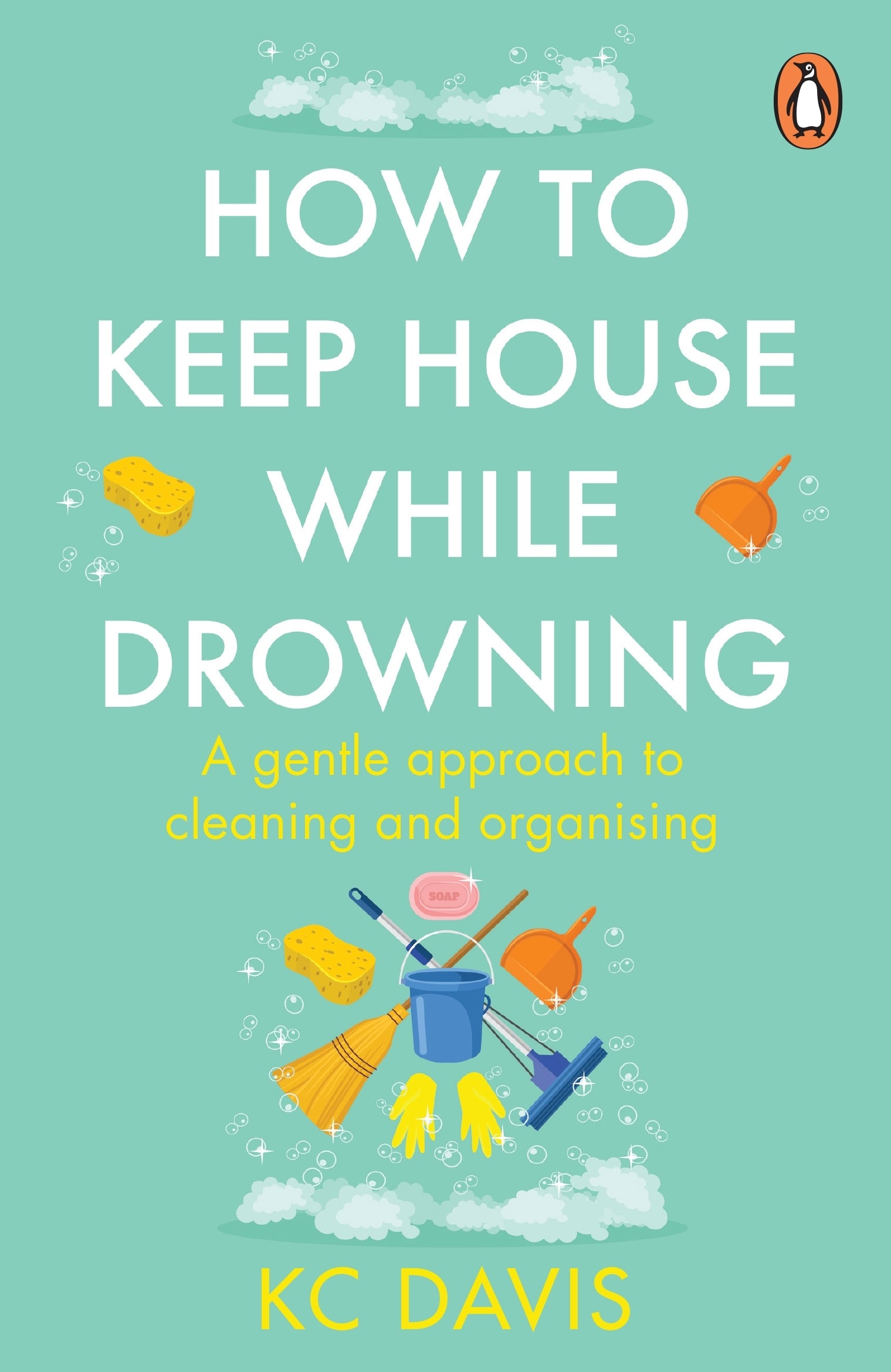 how-to-keep-house-while-drowning-kc-davis