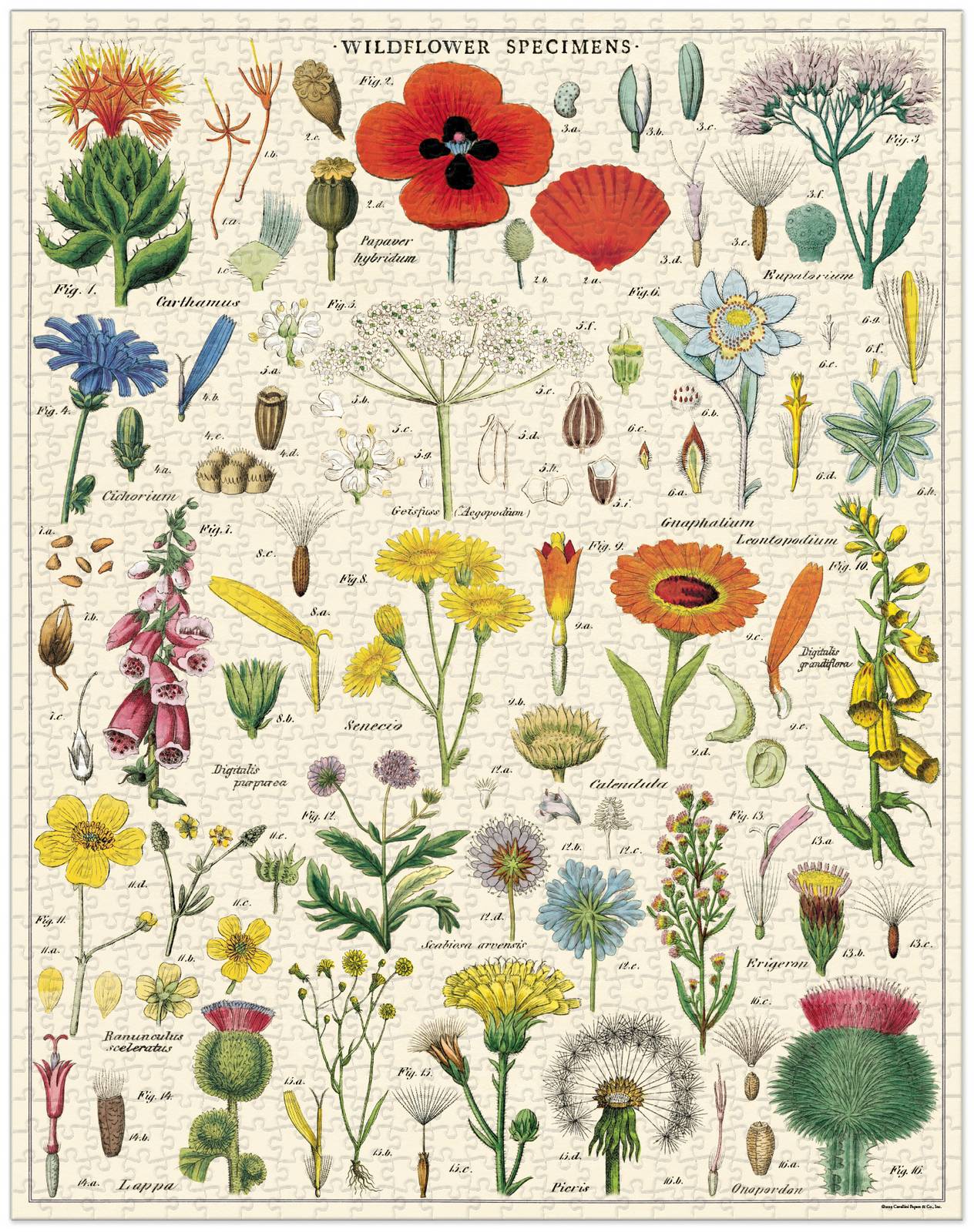 cavallini-co-wildflowers-1000-pce-vintage-puzzle
