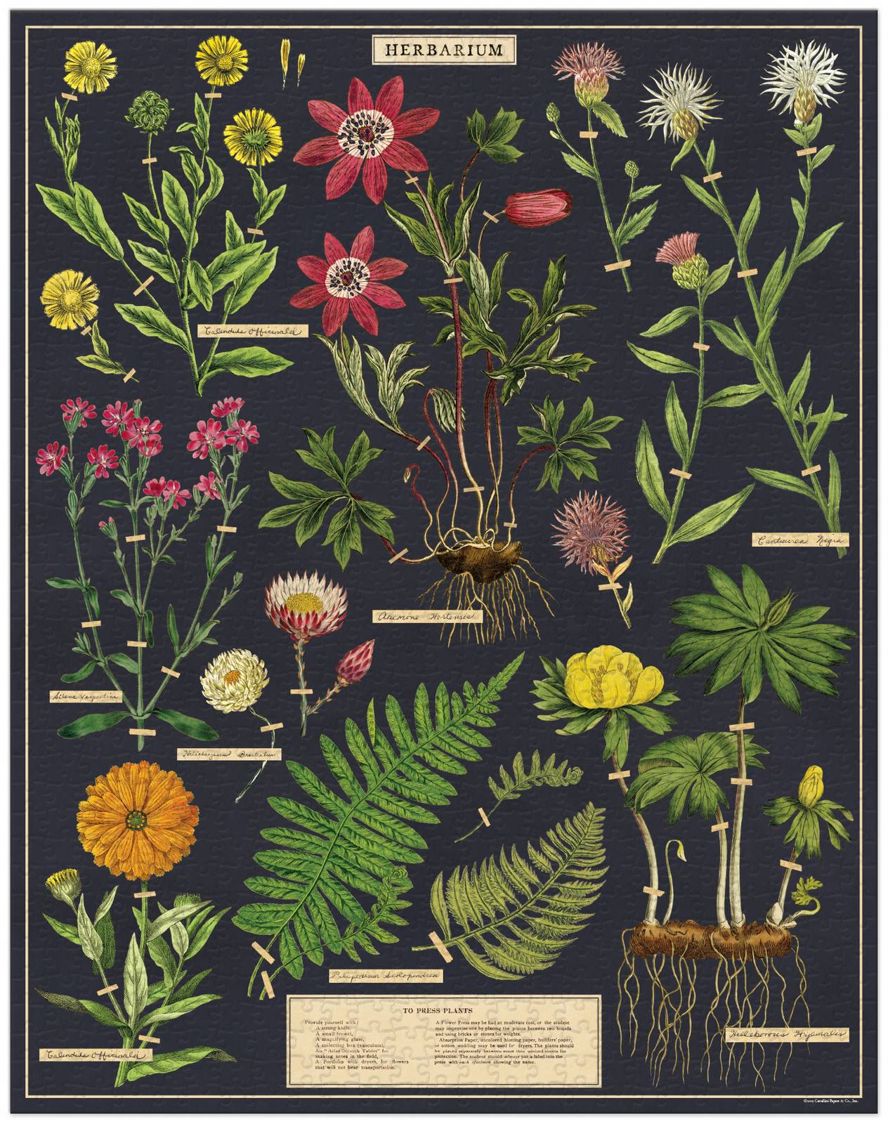 cavallini-co-herbarium-1000-pce-vintage-puzzle