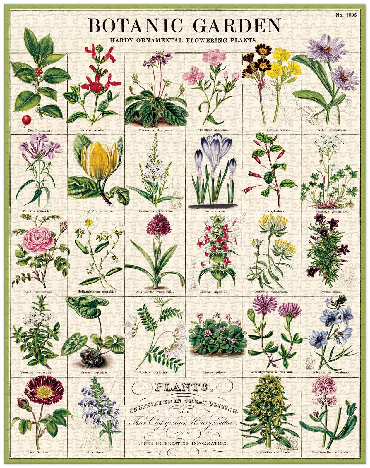 cavallini-co-botanical-garden-1000-pce-vintage-puzzle