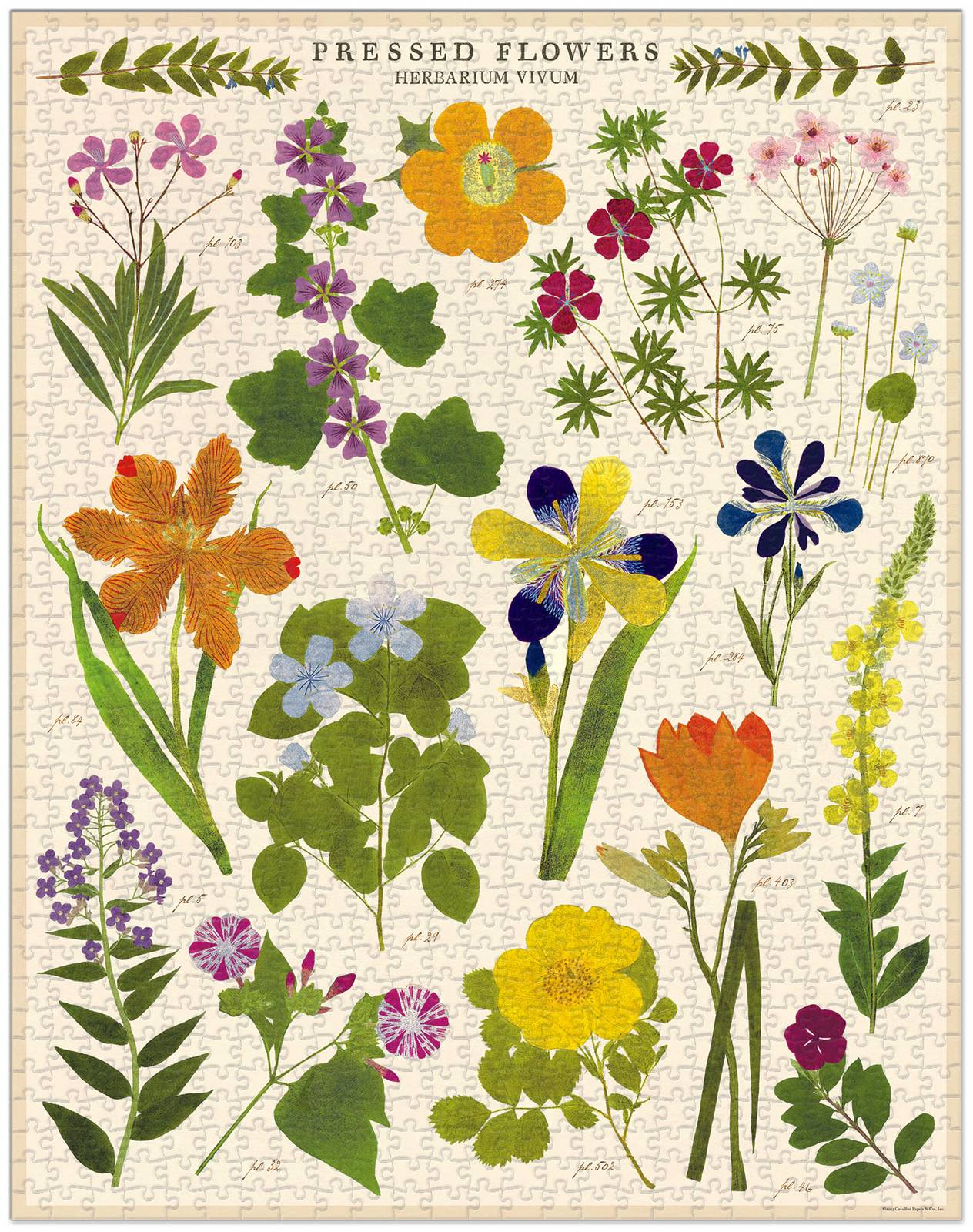cavallini-co-pressed-flowers-1000-pce-vintage-puzzle