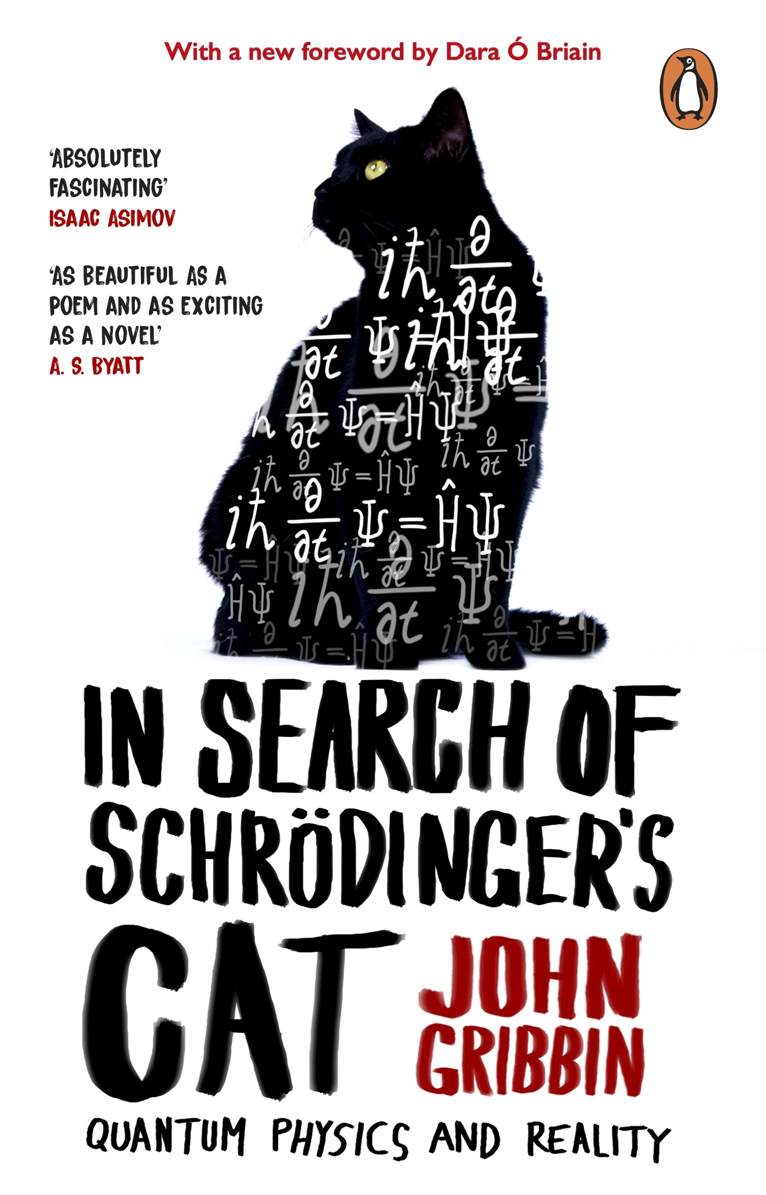 in-search-of-schrodingers-cat