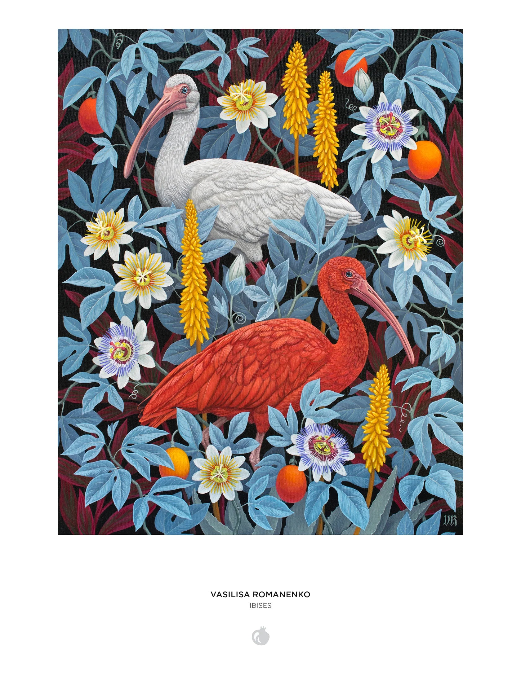 Pomegranate - Vasilisa Romanenko: Ibises - 1000 Pce Puzzle