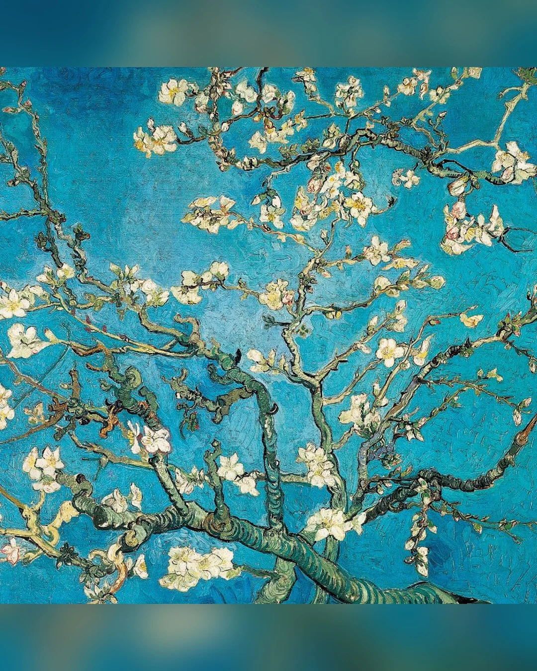 almond-branches-in-bloom