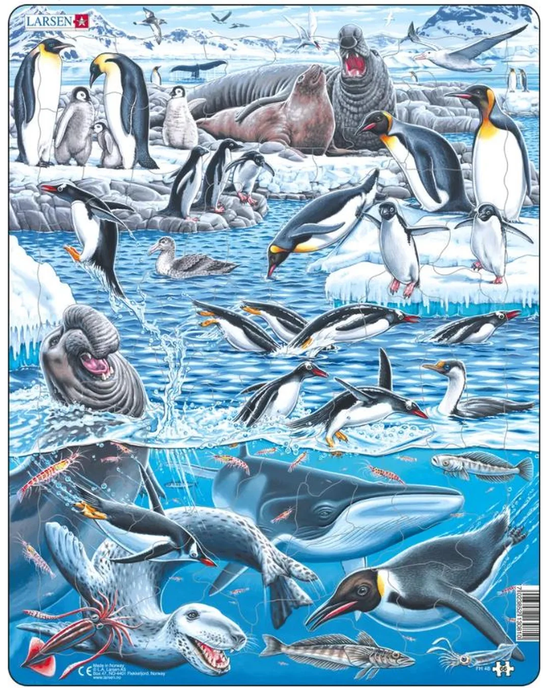 Larsen Antarctica 66-Piece Jigsaw Puzzle