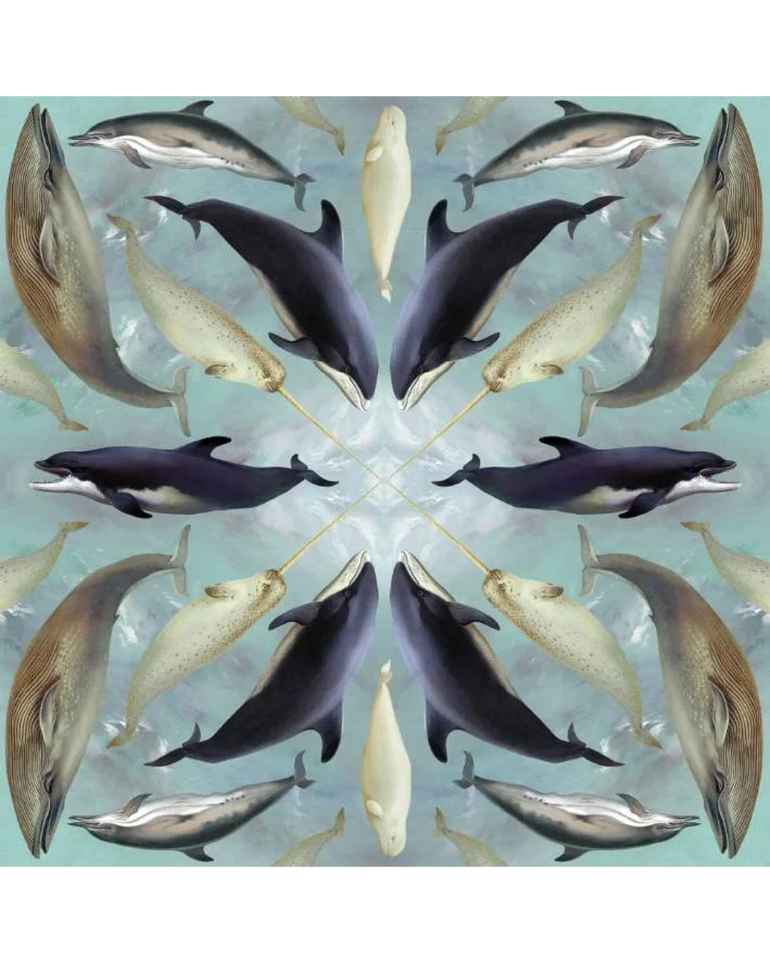 aquatic-mammals