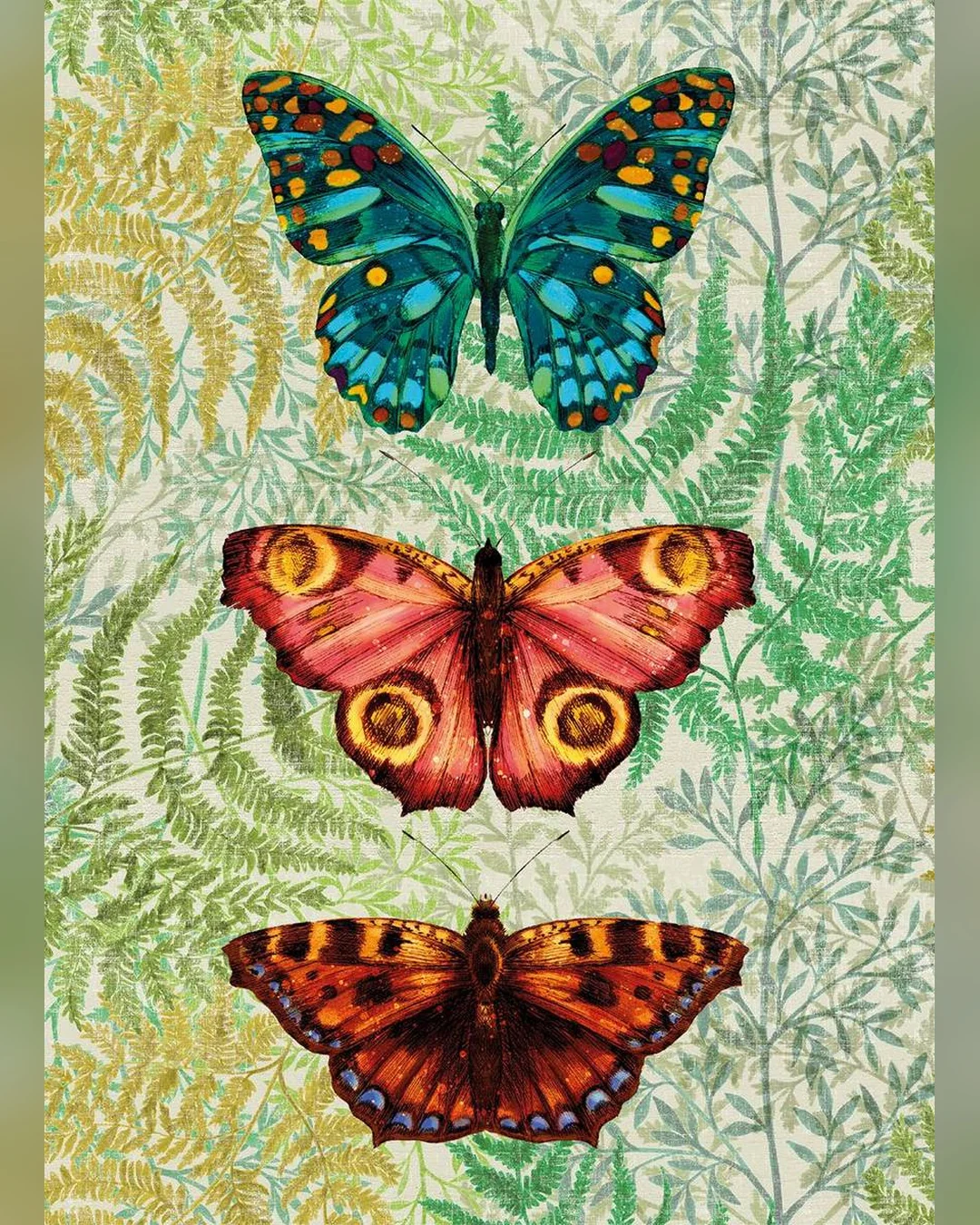 butterfly-ferns