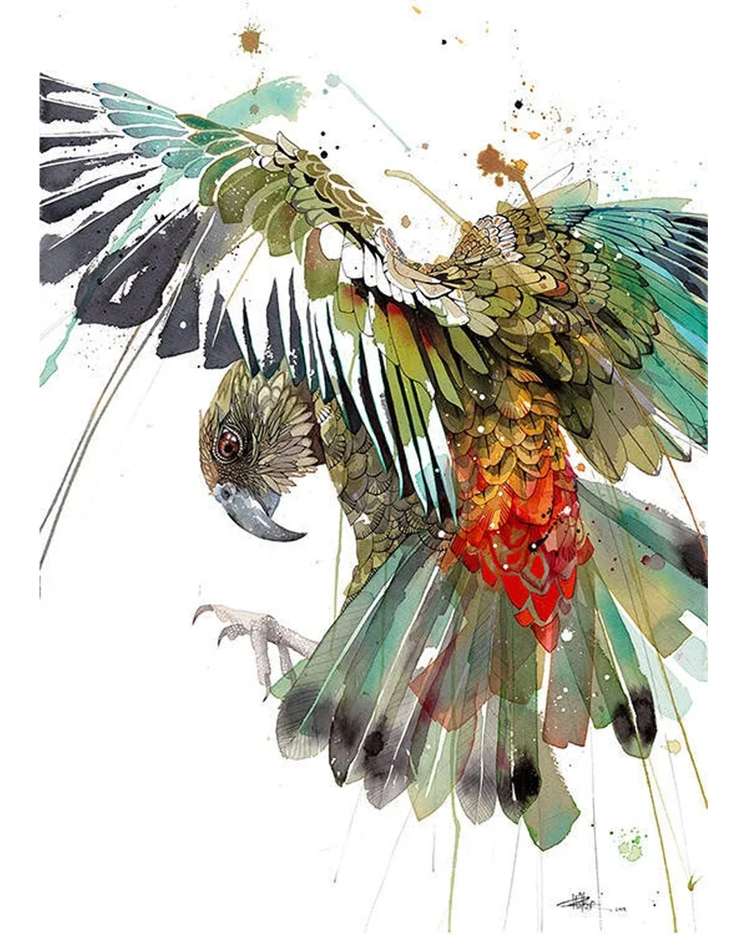 Colour Burst Kea
