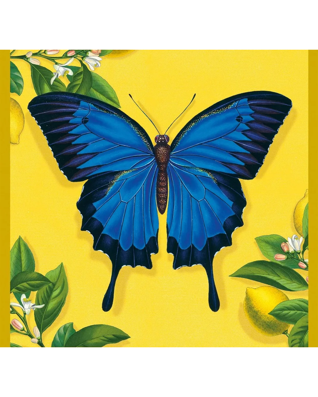exotic-animals-20-pkt-notecards-4-x-4
