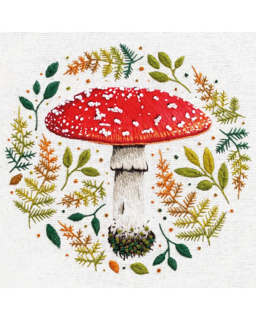 fly-agaric-mushroom