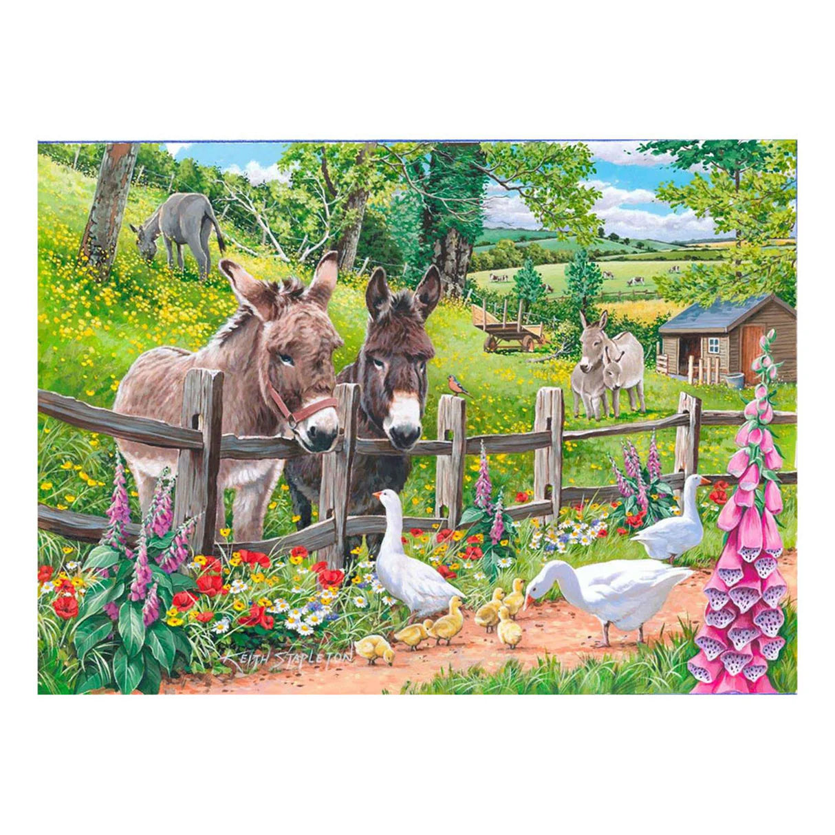 Jack and Jenny - Big 250pc